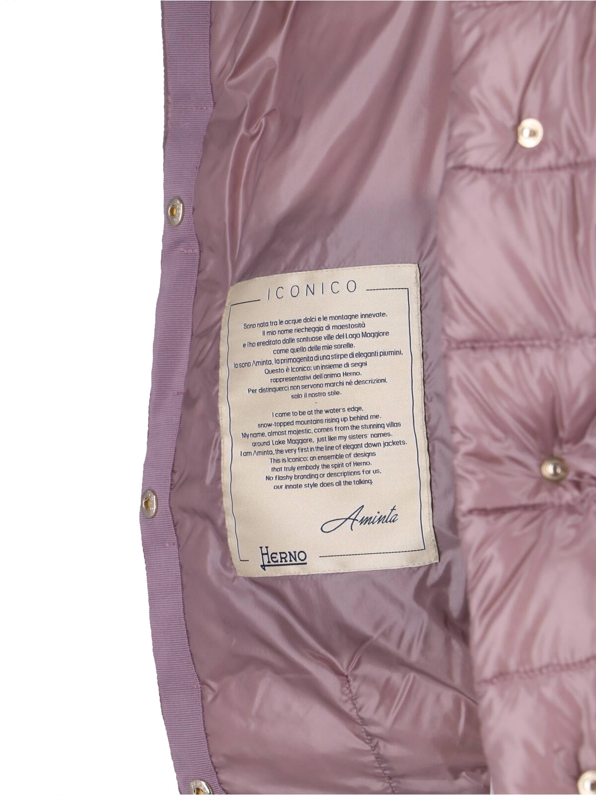 Herno Aminta Down Jacket In Pink