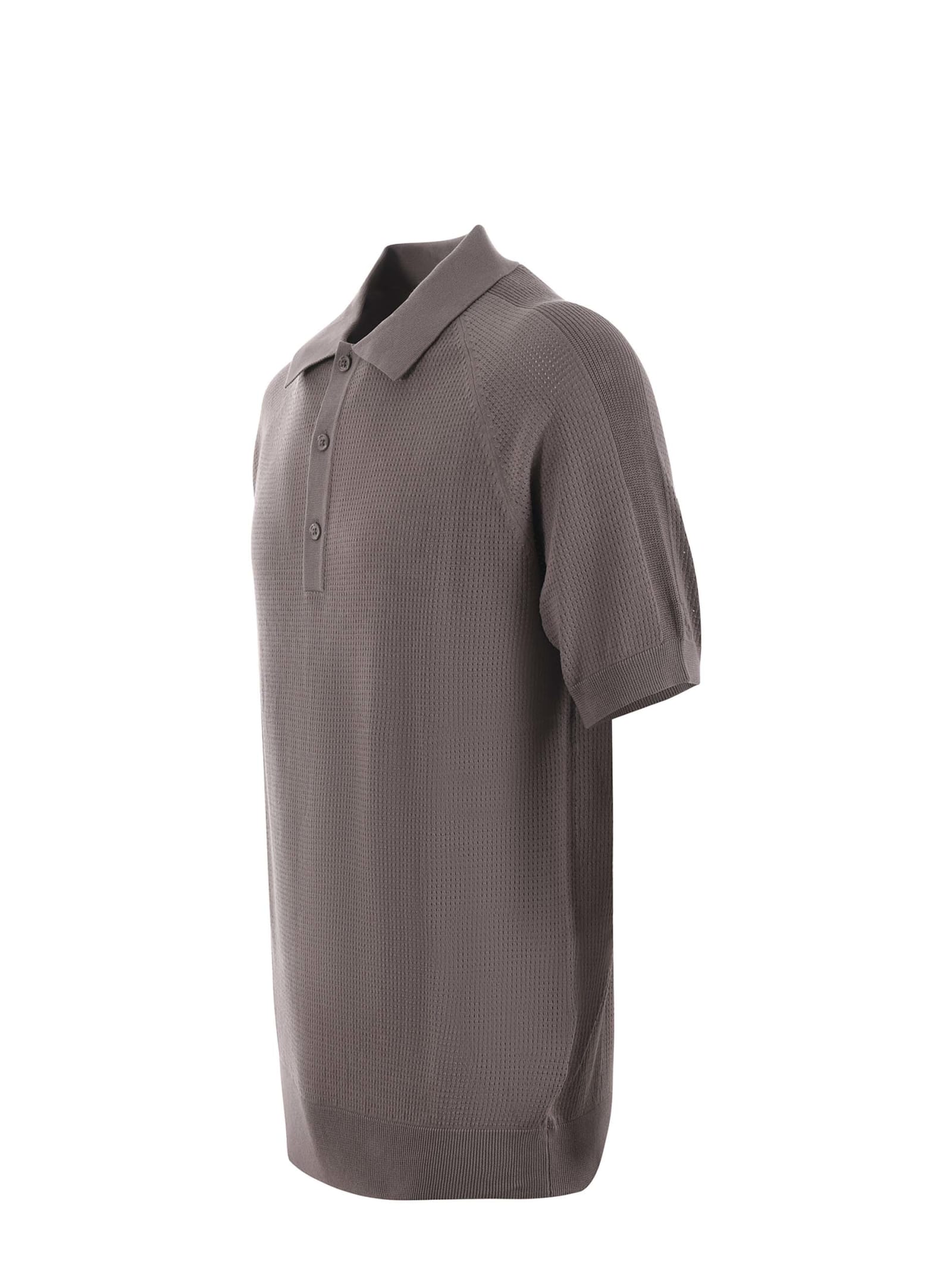 Shop Paolo Pecora Polo Shirt In Cotton Thread In Tortora