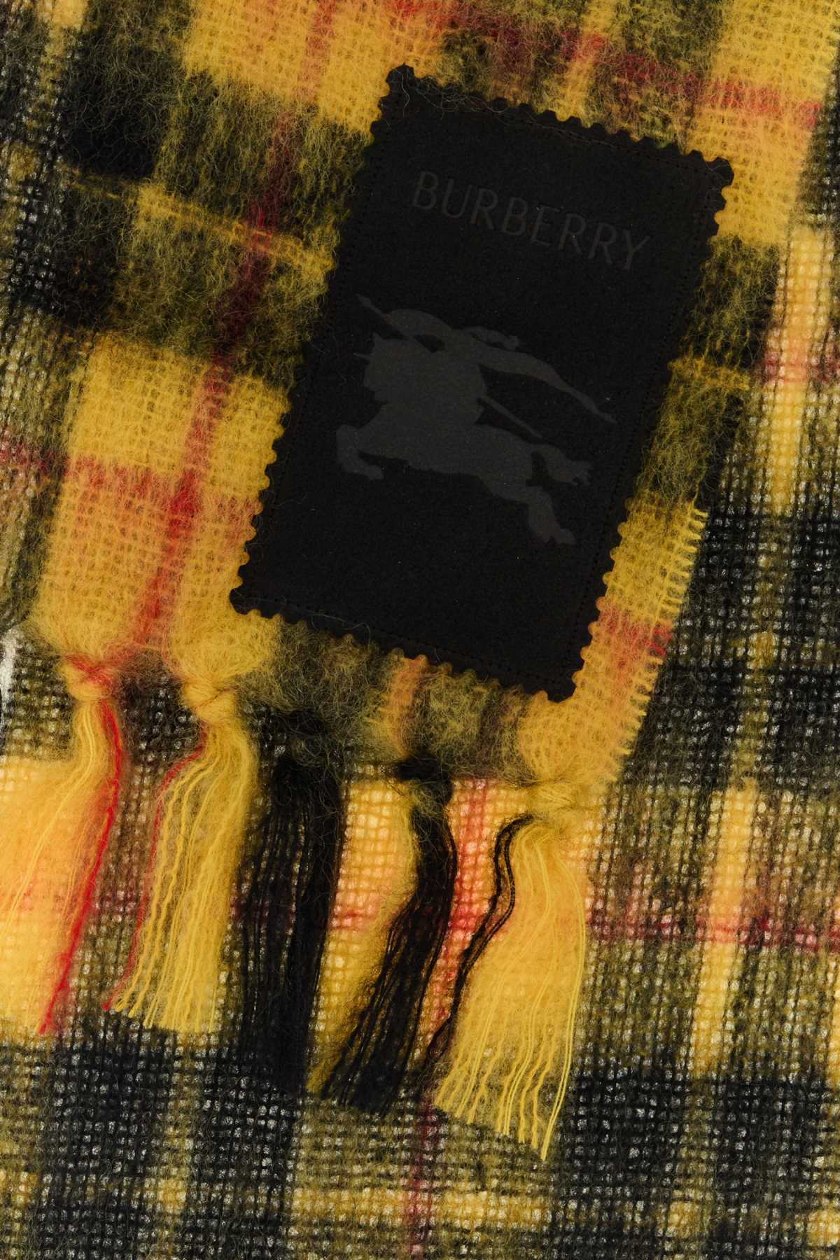 Burberry Embroidered Mohair Blend Scarf In Multi