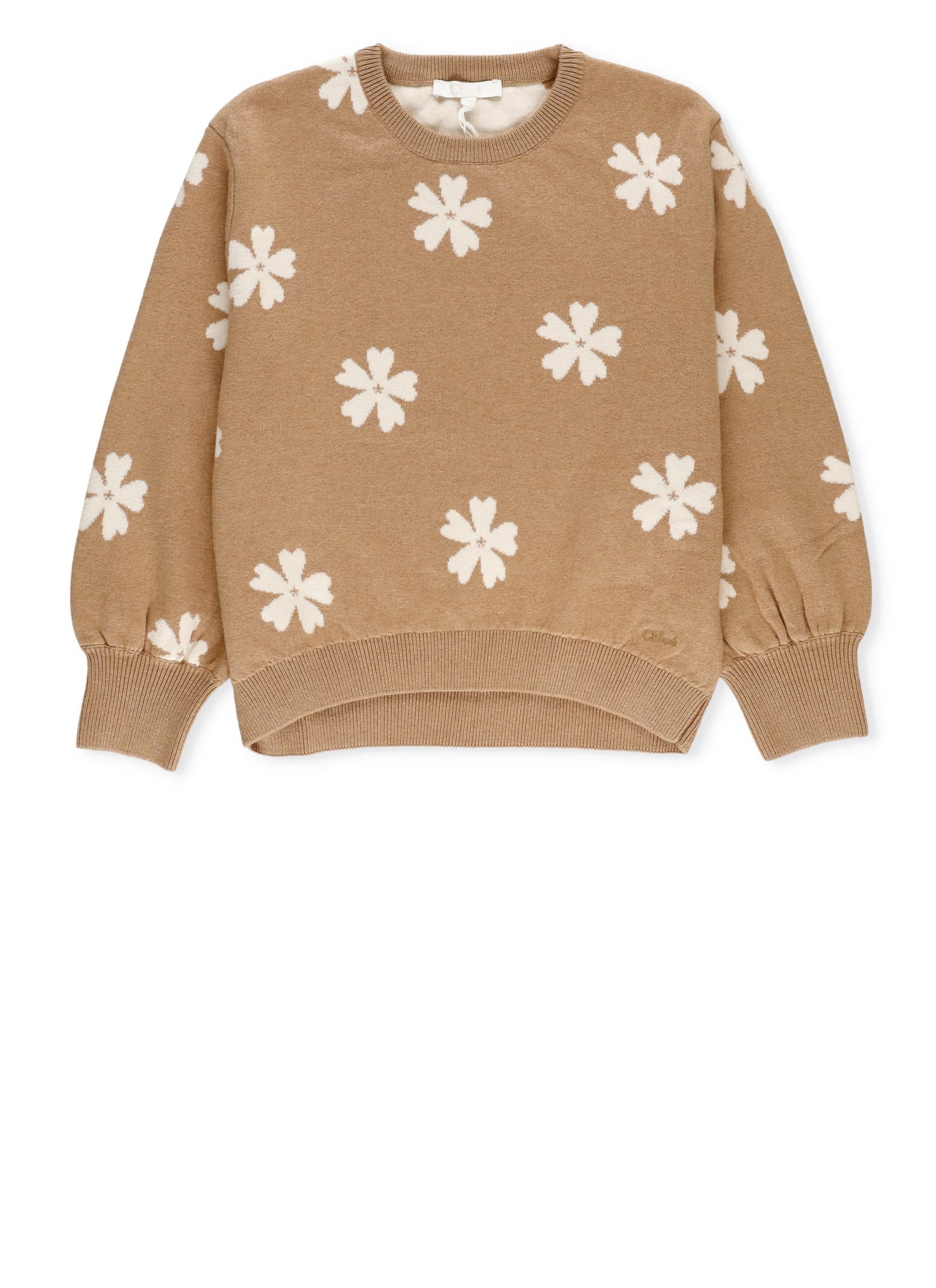Shop Chloé Cotton And Wool Sweater In Brown