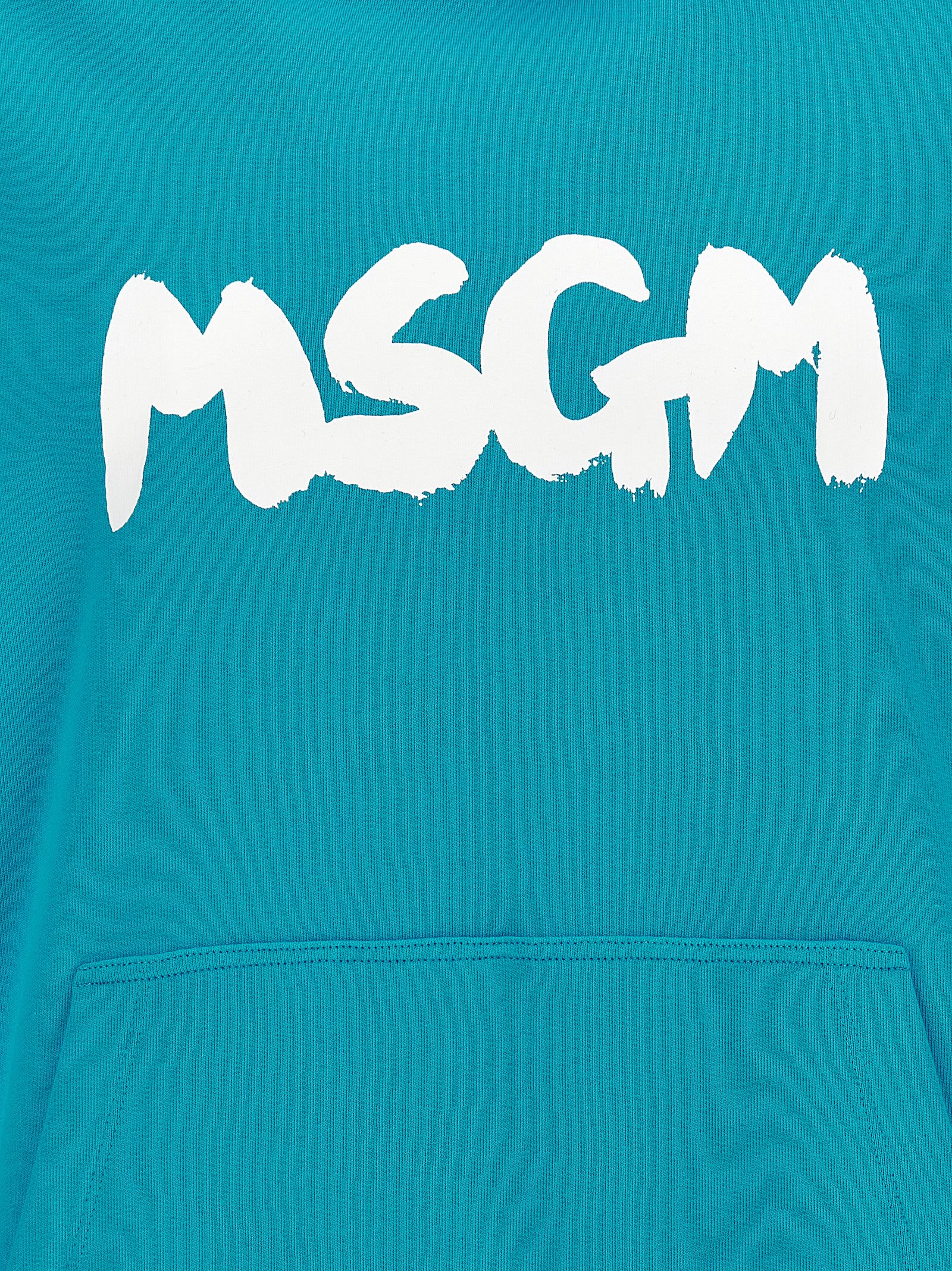 Shop Msgm Logo Brush Hoodie In Light Blue