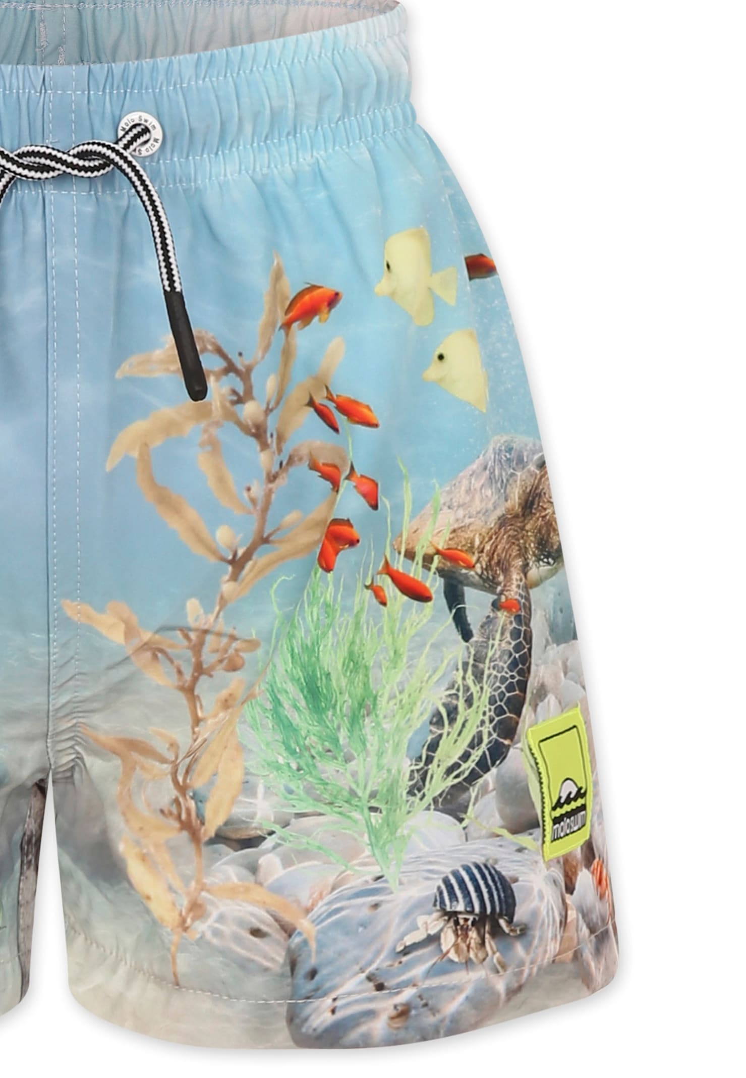 Molo Light Blue Swim Shorts For Boy With Ocean Print In Light Blue