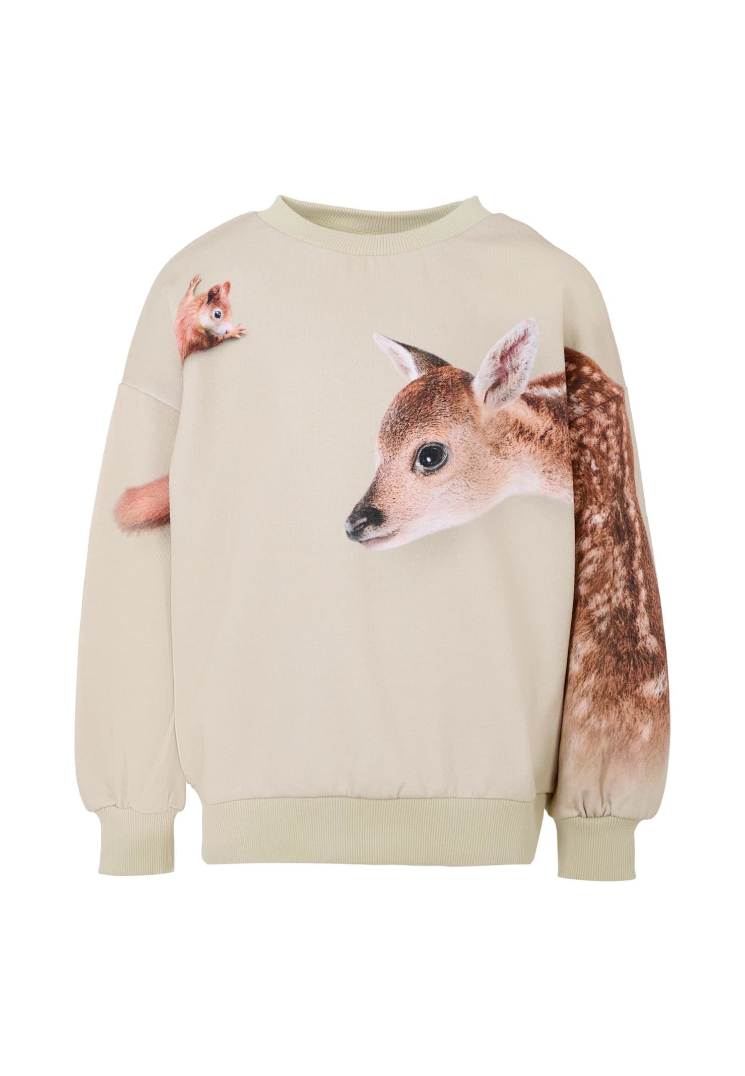 Molo Blue Sweatshirt For Boy With Flame In White