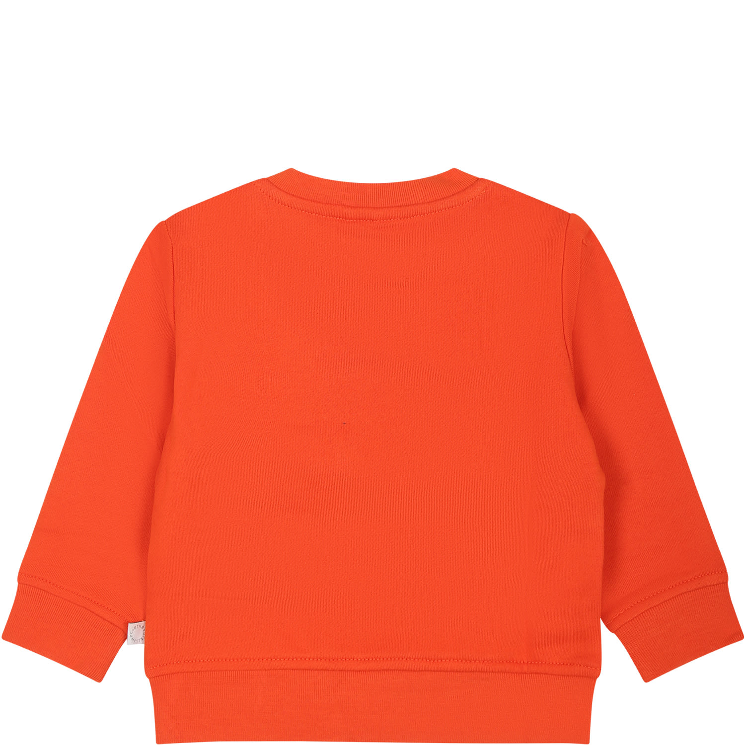 Shop Stella Mccartney Orange Sweatshirt For Baby Girl With Flowesr And Logo