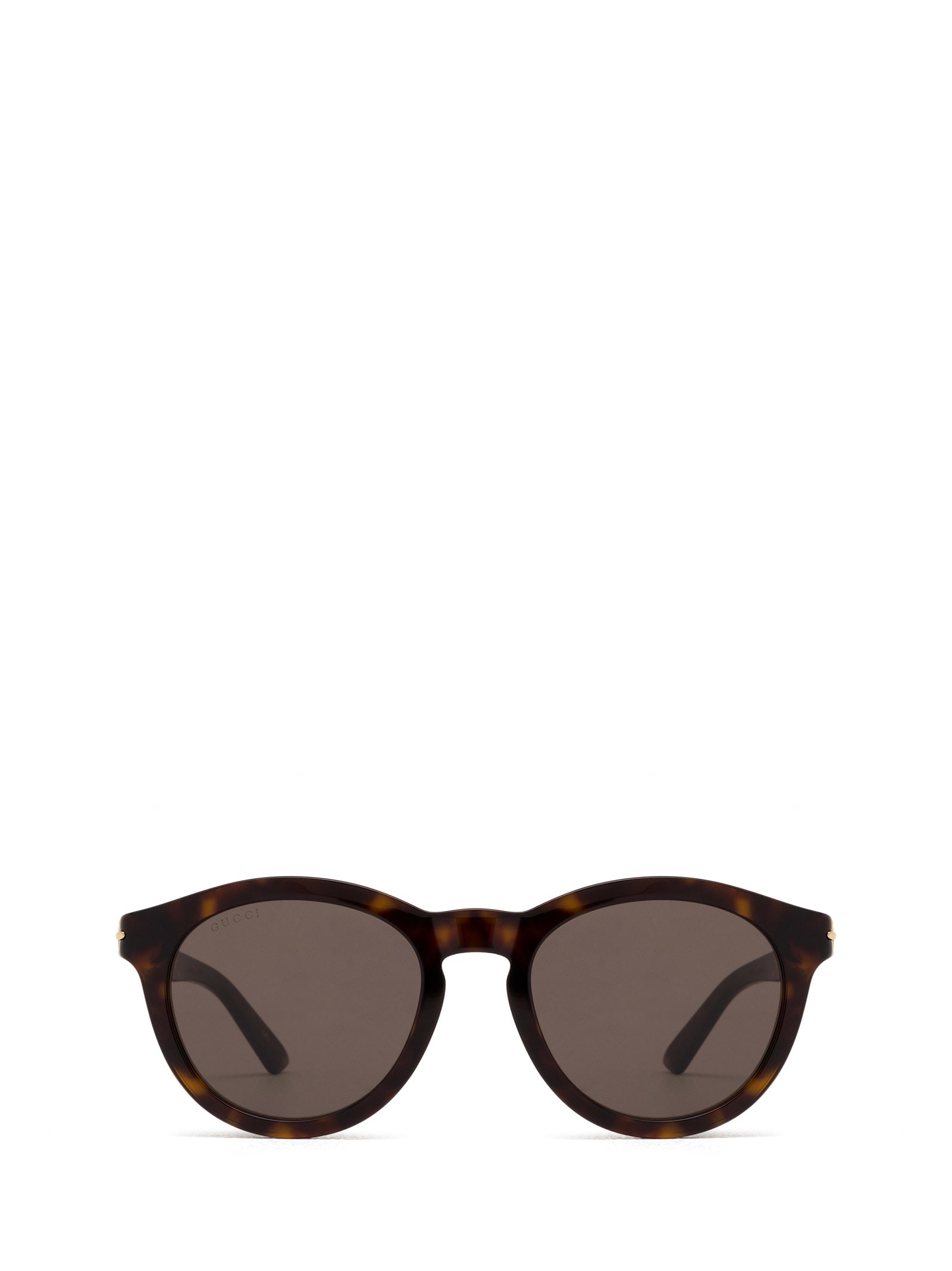 Shop Gucci Gg1501s Havana Sunglasses