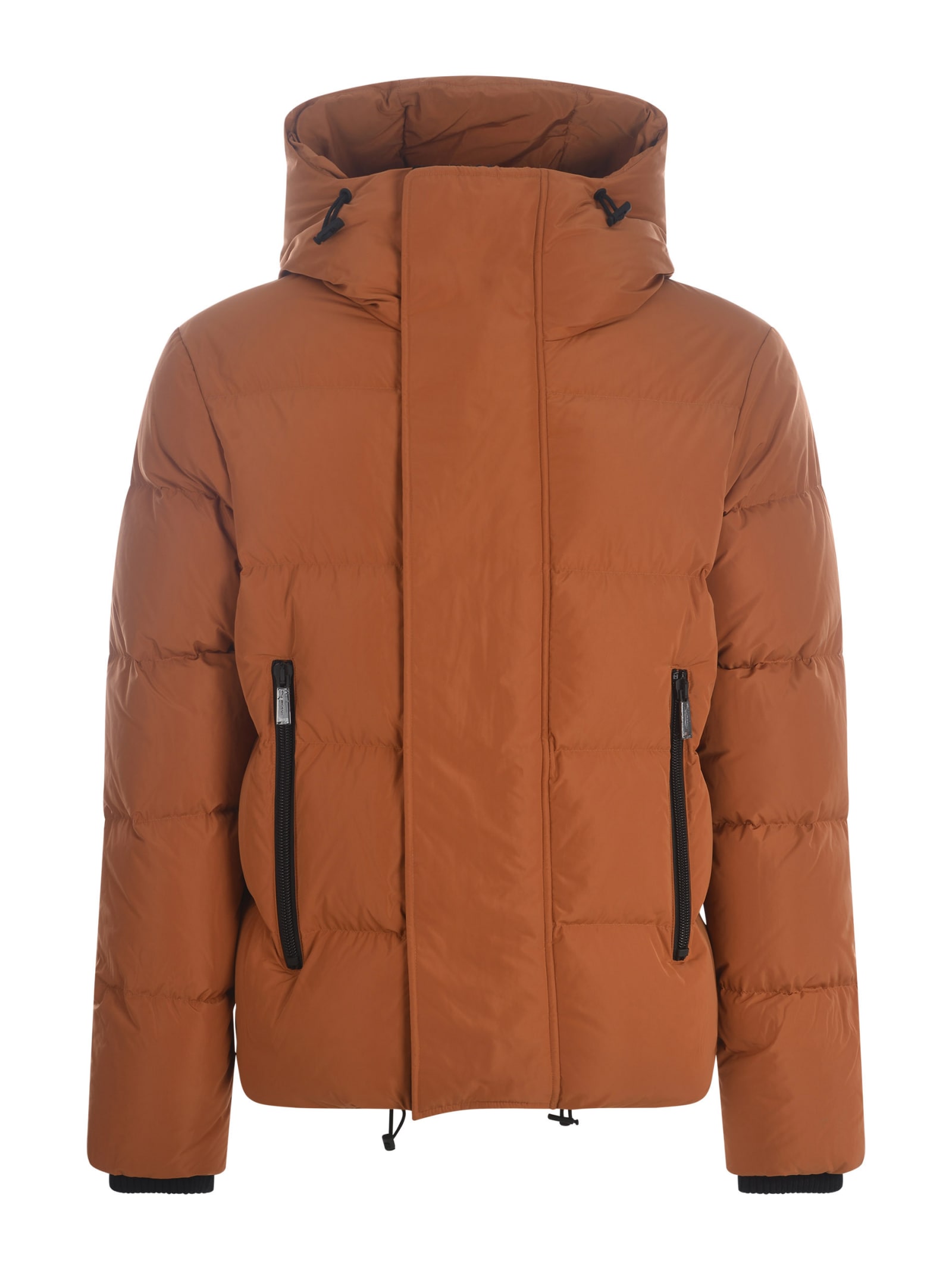 Shop Dsquared2 Down Jacket  In Nylon In Argilla