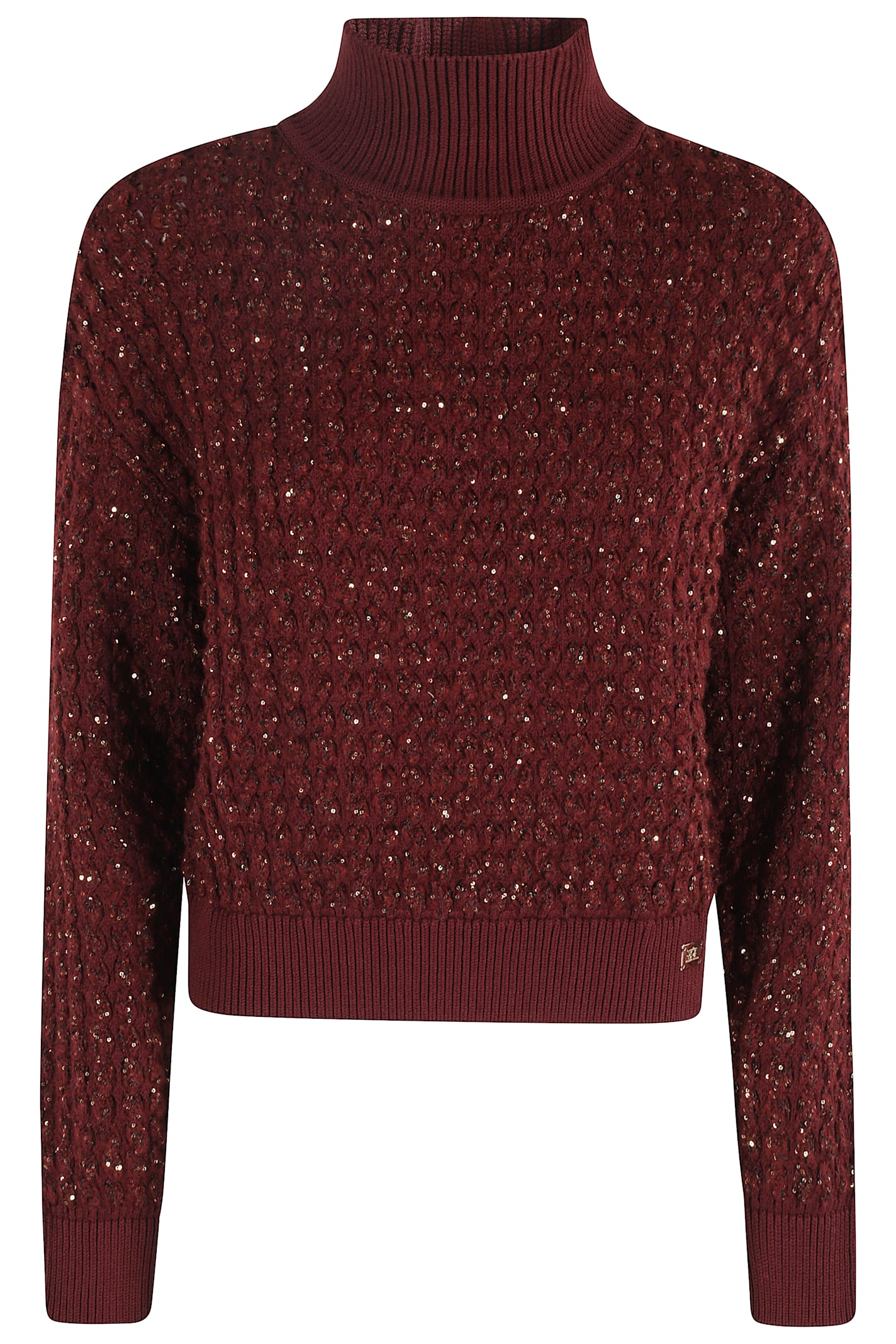 Elisabetta Franchi Sequinned Turtleneck Sweater In Burgundy