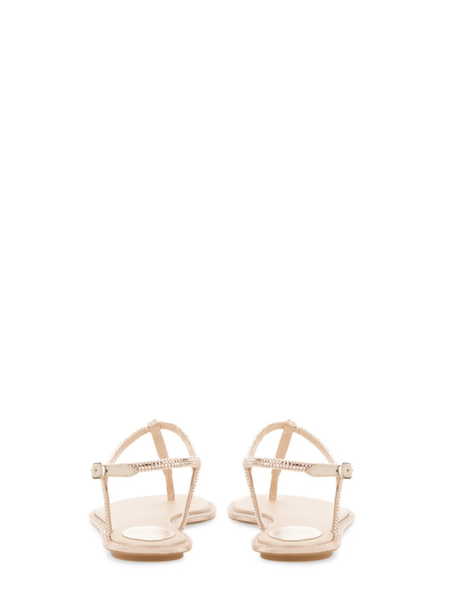 Shop René Caovilla Sandal Diana In Powder