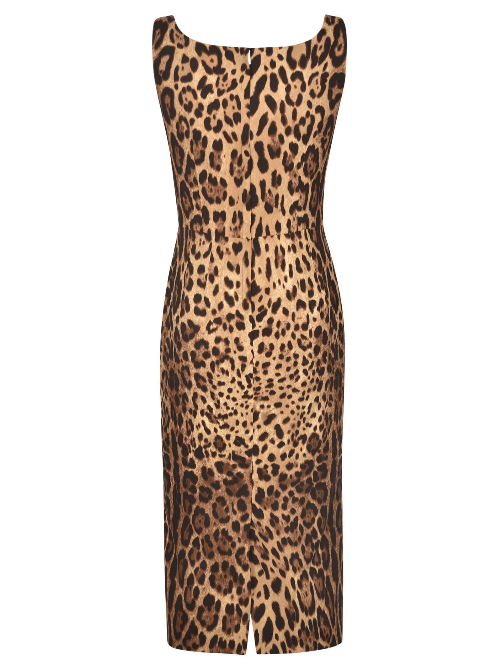 Shop Dolce & Gabbana Animal Print Back Zip Sleeveless Dress In Leo New