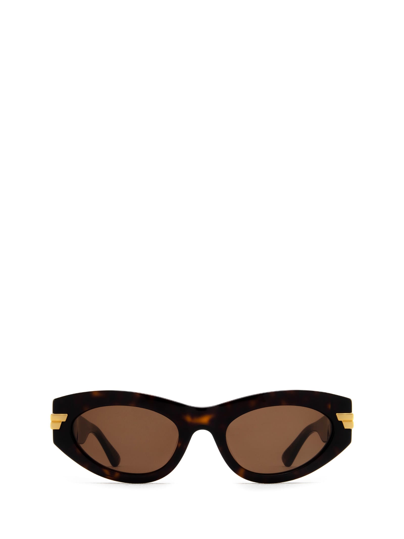 Bottega Veneta Eyewear Bv1189s Havana Sunglasses