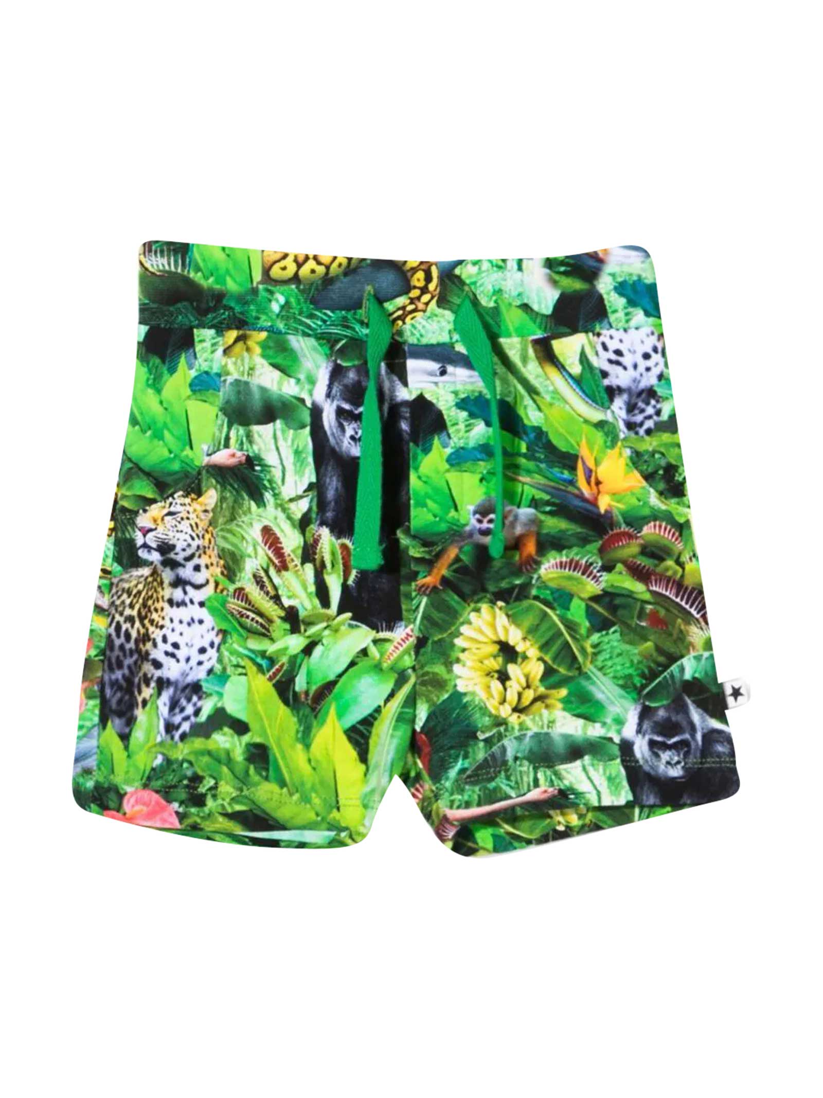 Molo Multicolor Print Bermuda Shorts