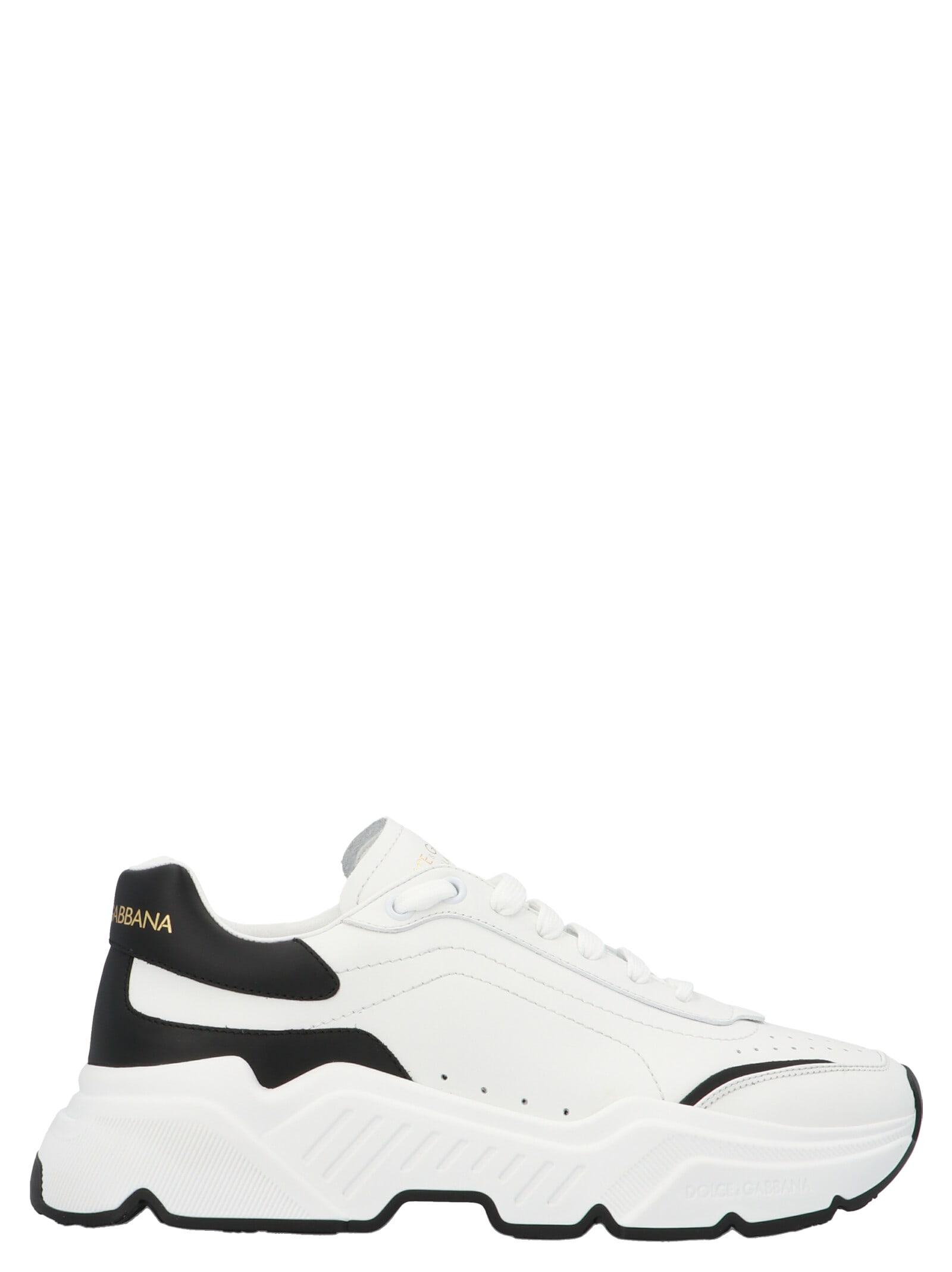 Buy Dolce & Gabbana daymaster Shoes online, shop Dolce & Gabbana shoes with free shipping