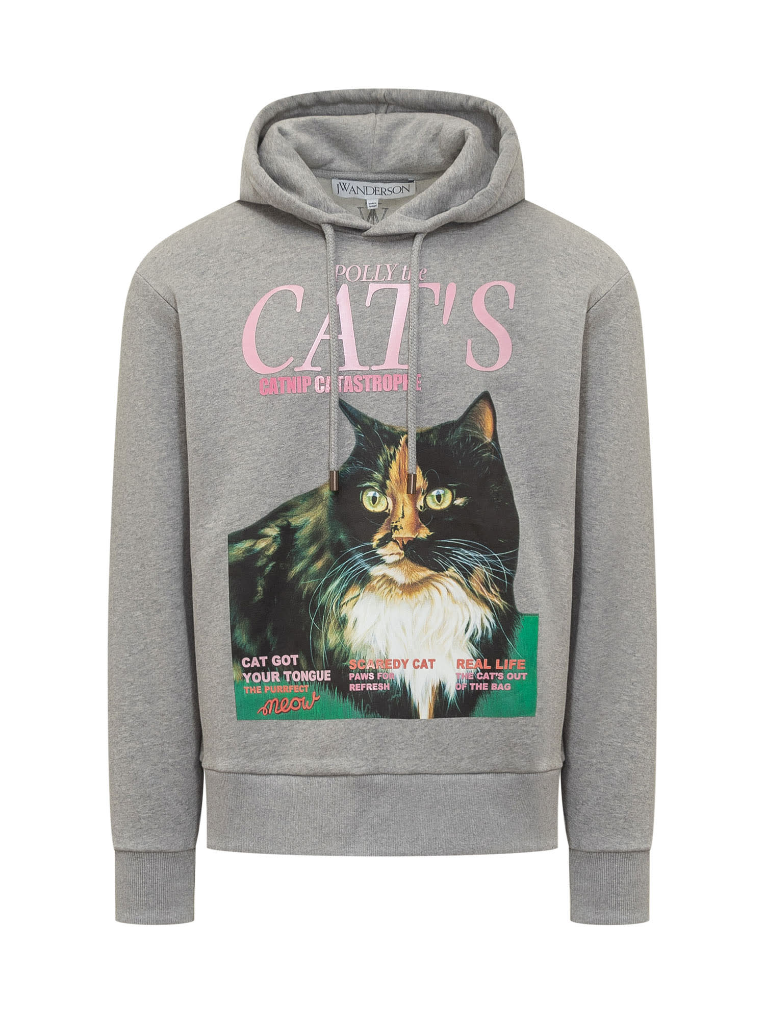 Shop Jw Anderson Polly The Cats Hoodie In Grey