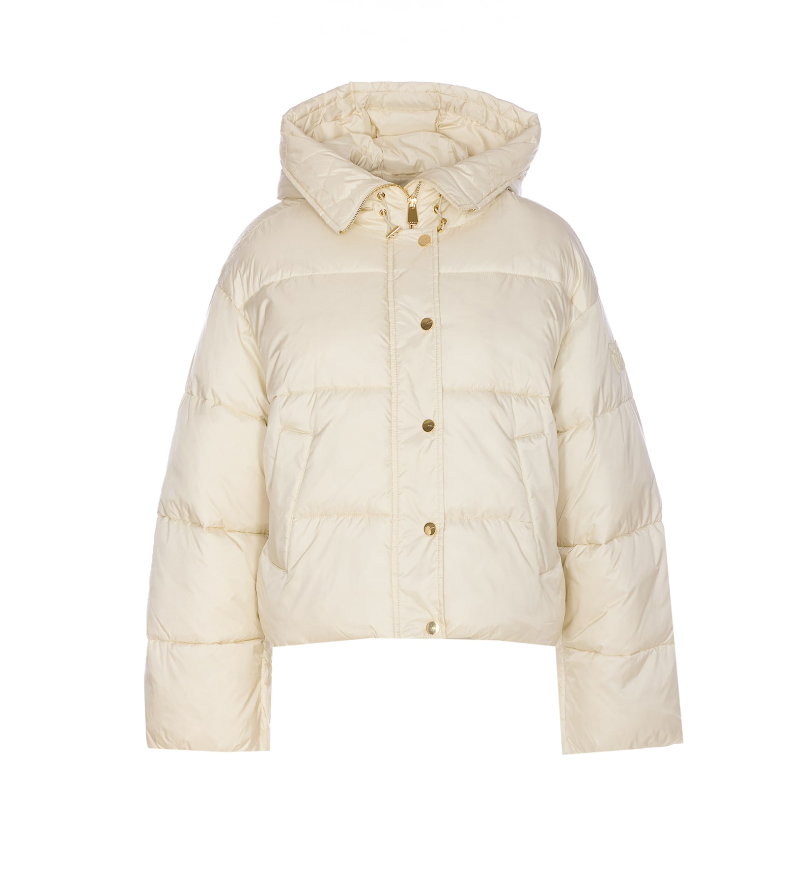 Pinko Impasto Down Jacket In Neutral