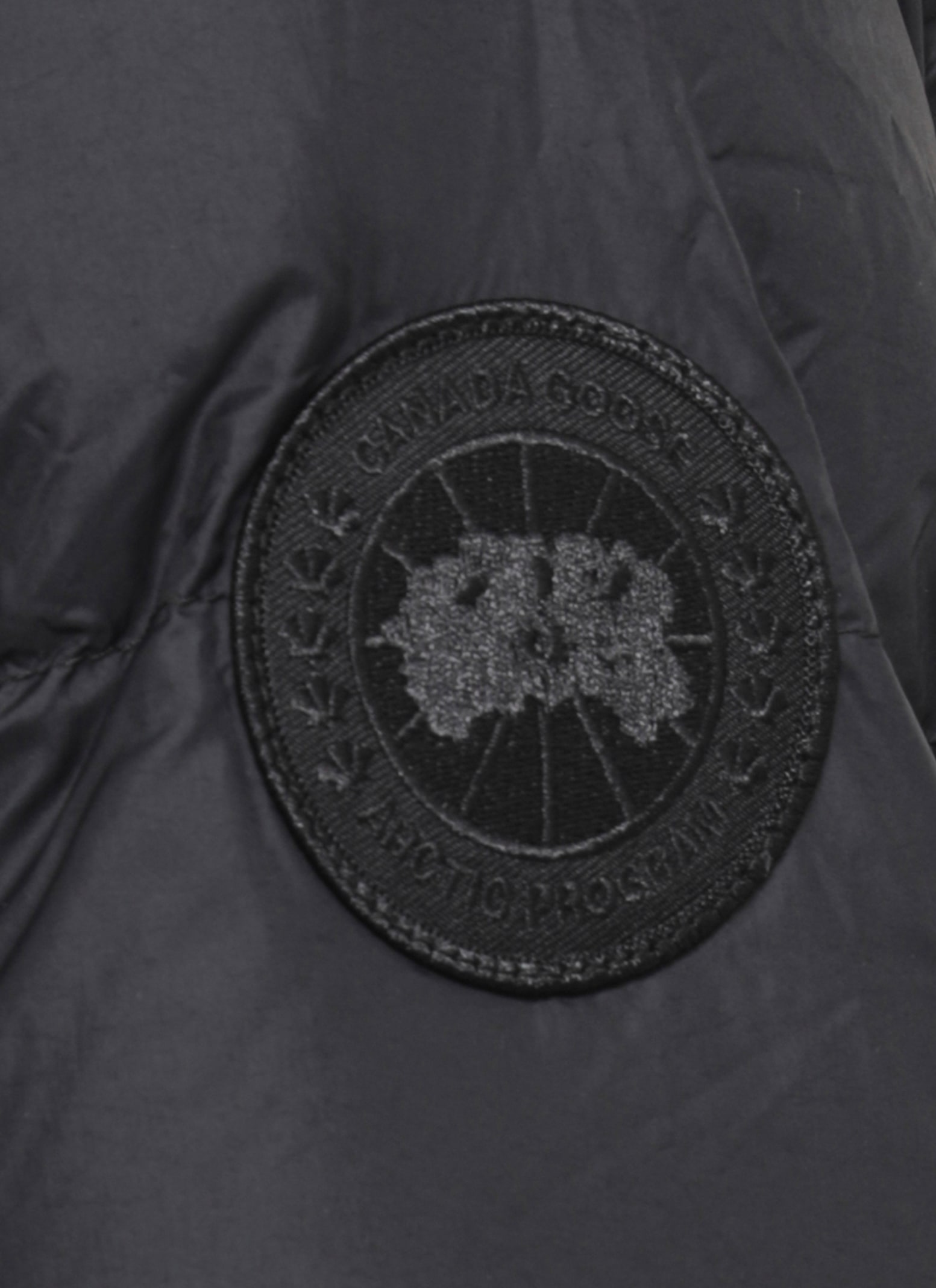 Canada Goose Padded Parka With Hood And Long Sleeves In Black