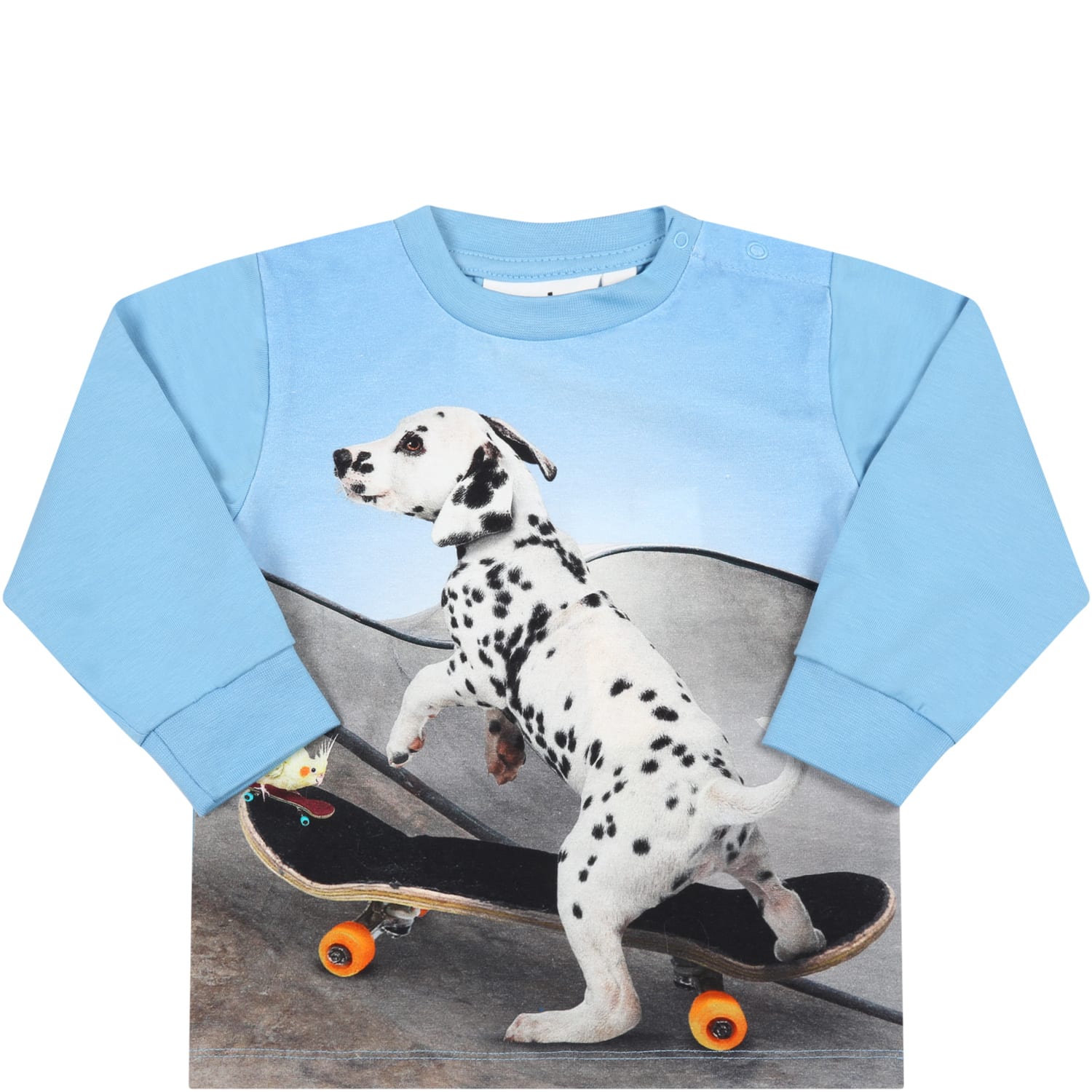Molo Light-blue T-shirt For Baby Boy With Dog
