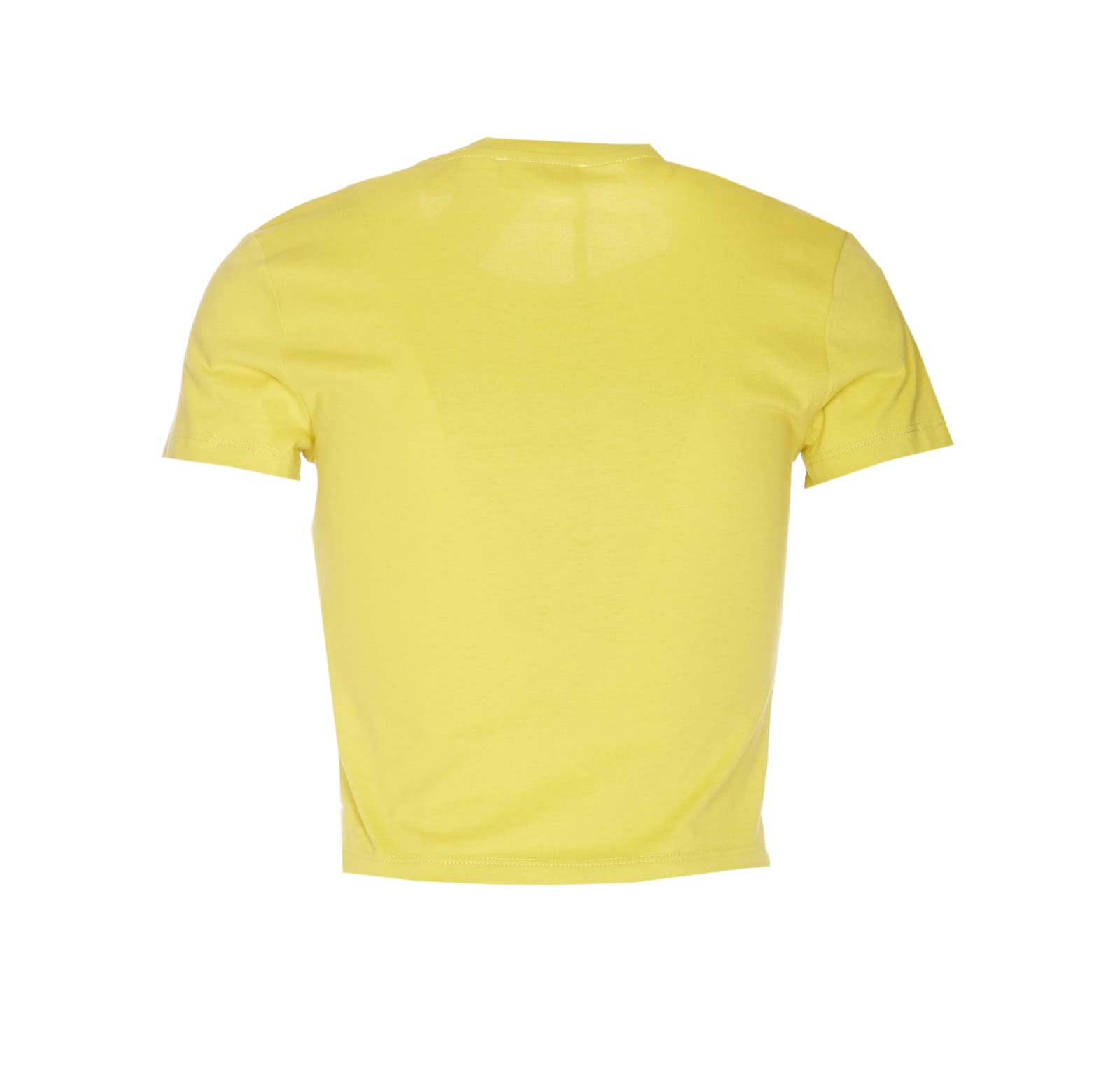 Shop Elisabetta Franchi T-shirt In Yellow