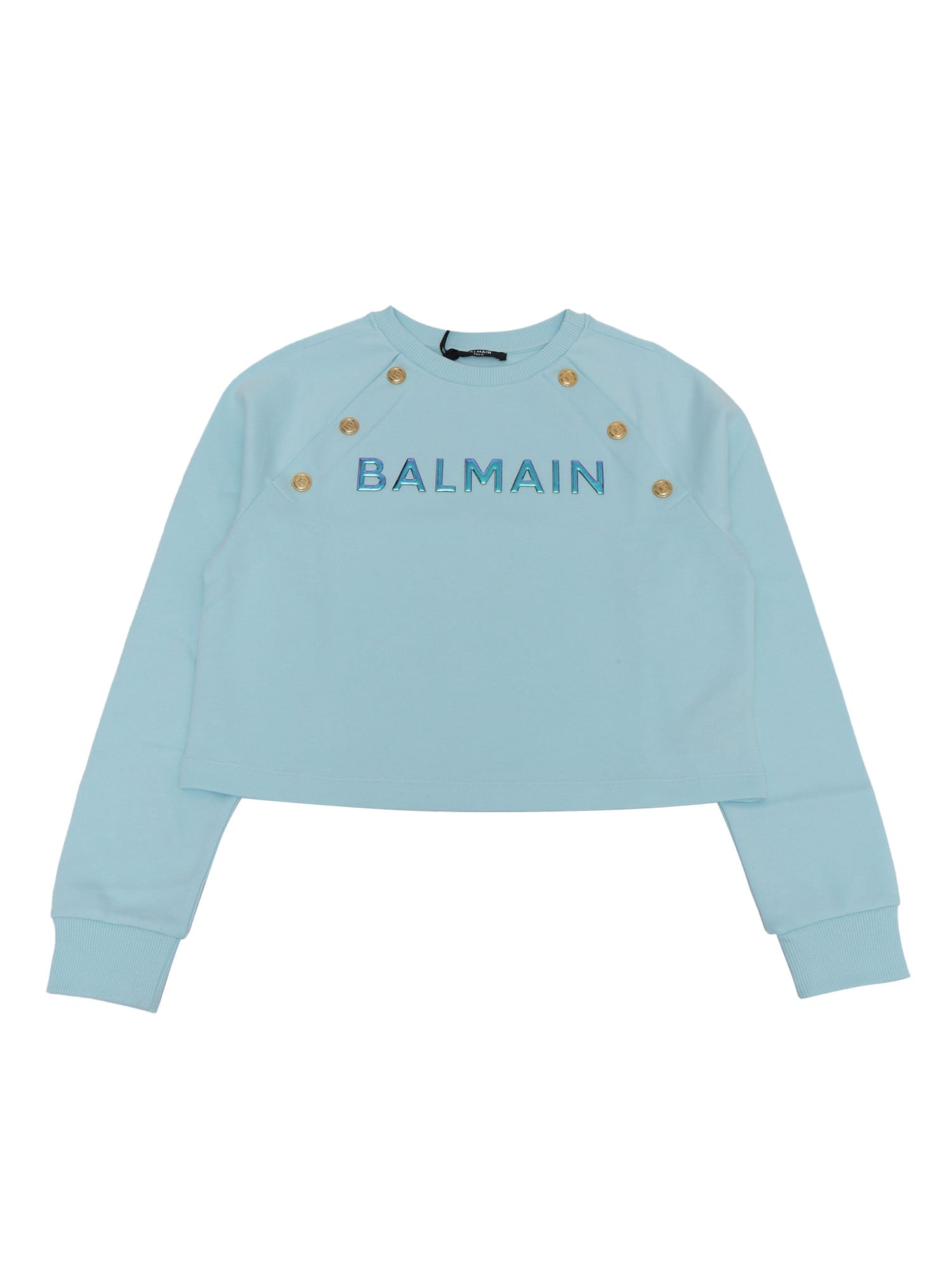 Balmain Sweatshirt In Blue