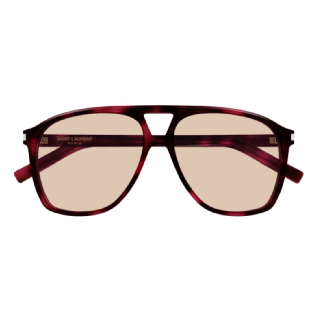 Saint Laurent Sl 596 Dune003 Havana Havana Brown In 003 Havana Havana Brown
