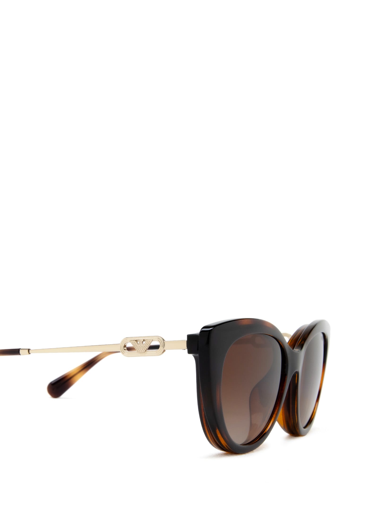 Shop Emporio Armani Ea4213u Shiny Havana Sunglasses