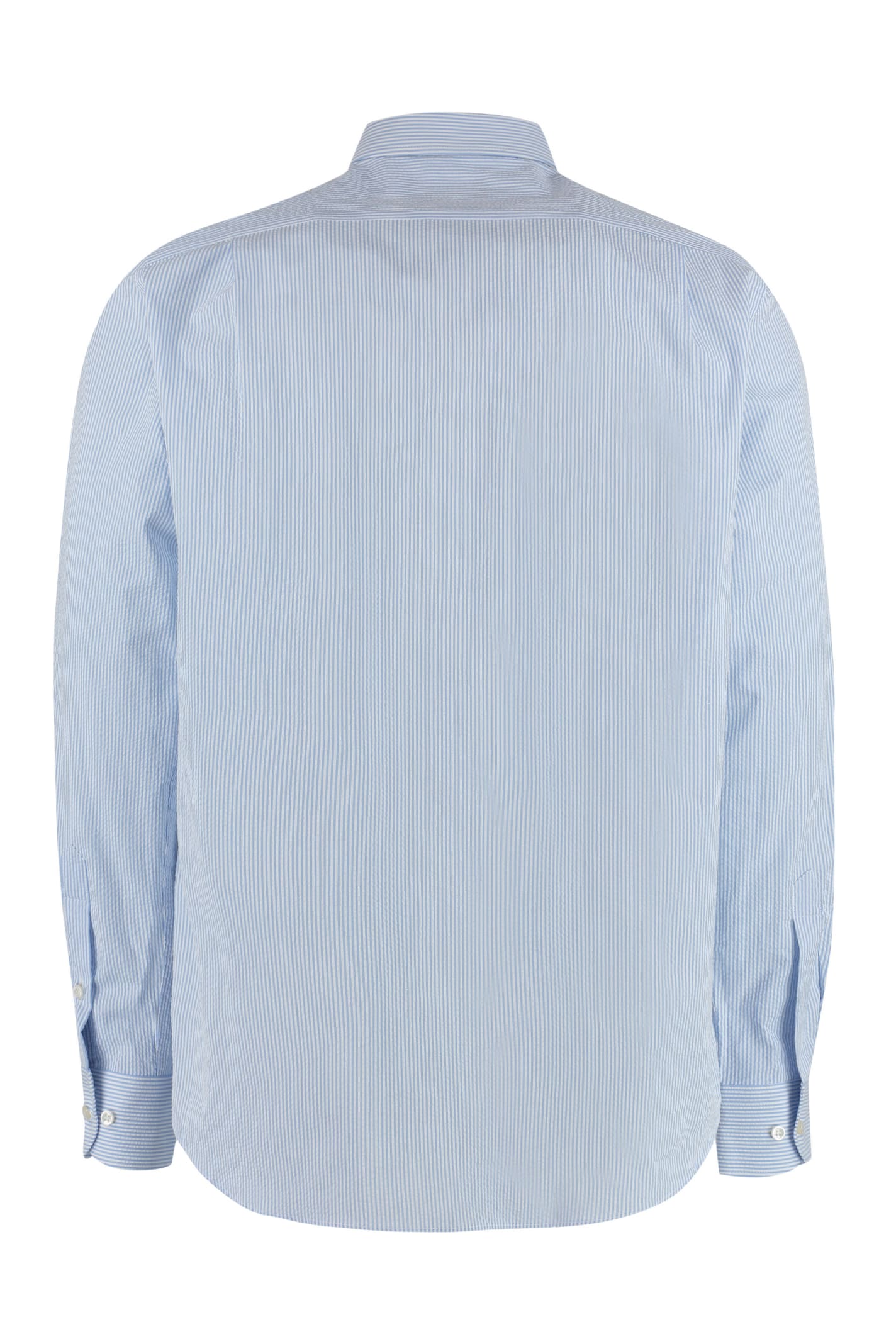 Paul & Shark Cotton Shirt With Buttoned Cuffs And Collar In Light Blue