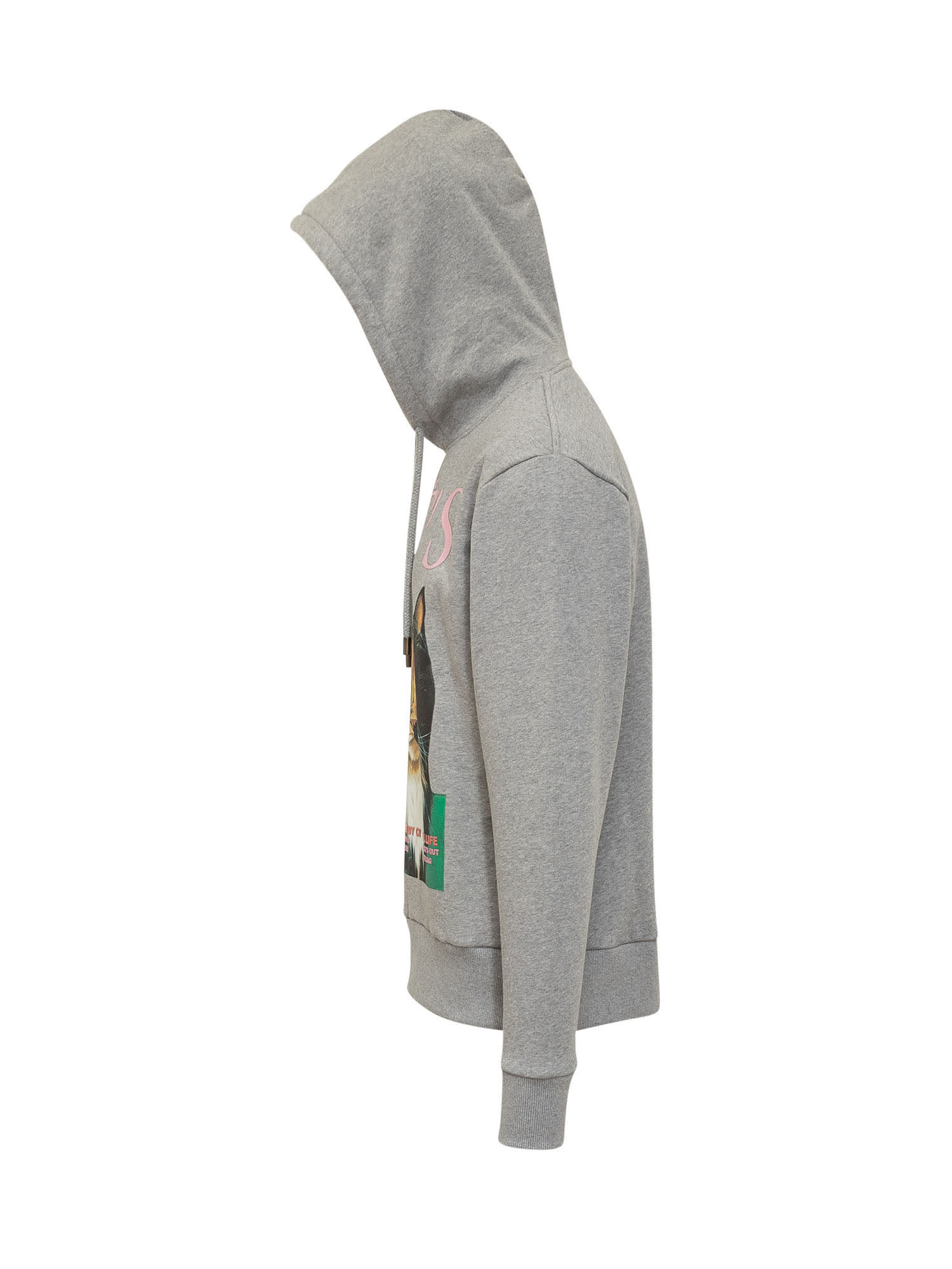 Shop Jw Anderson Polly The Cats Hoodie In Grey