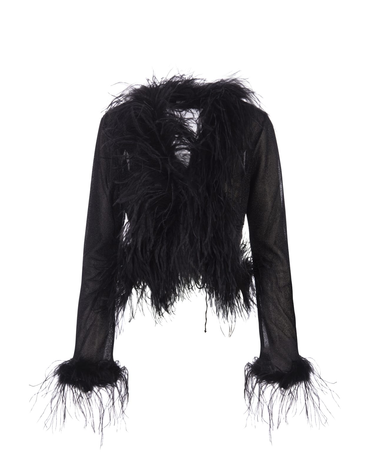 Black Lumiere Blouse With Feathers
