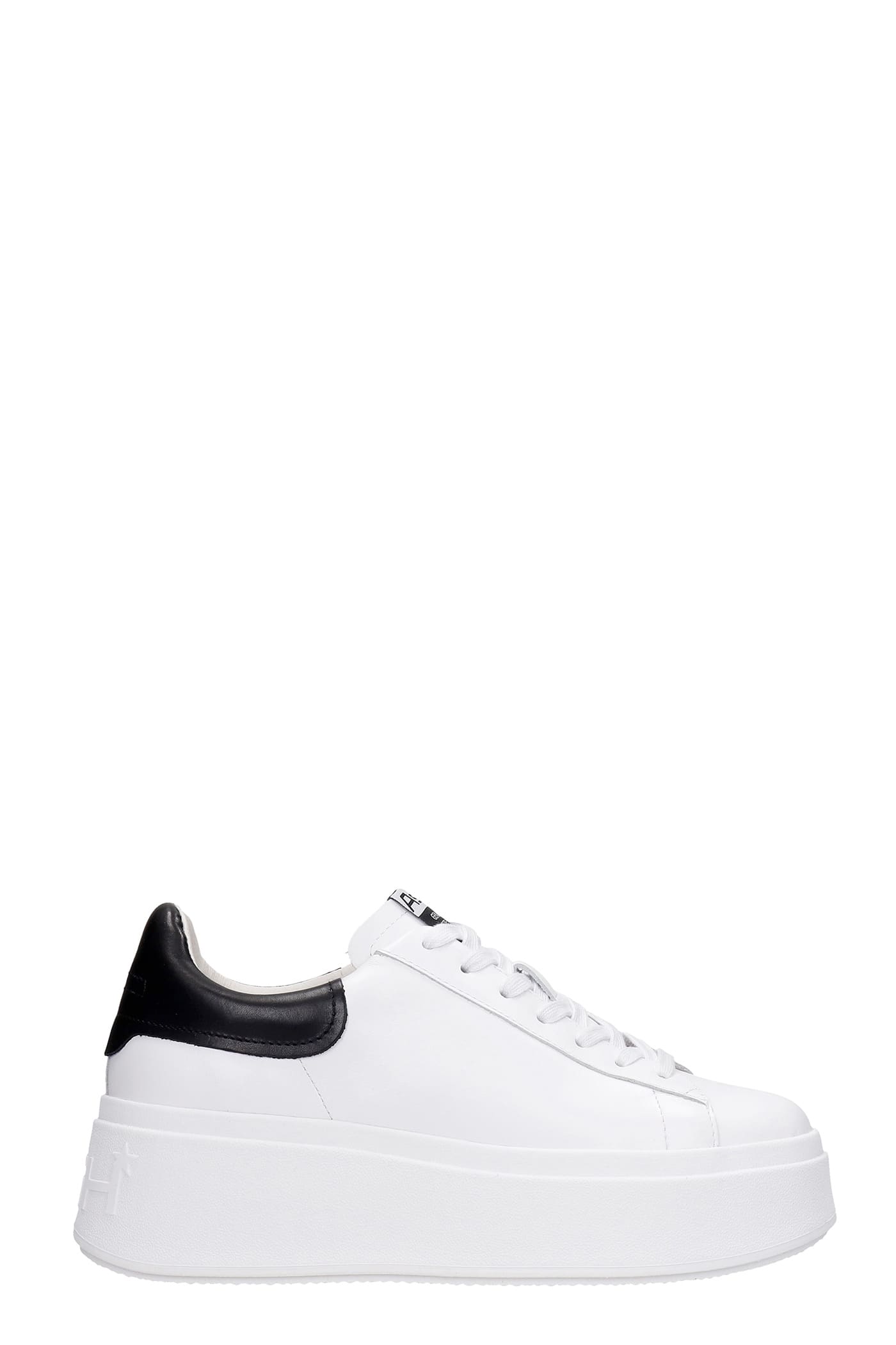 Ash Moby 06 Sneakers In White Leather
