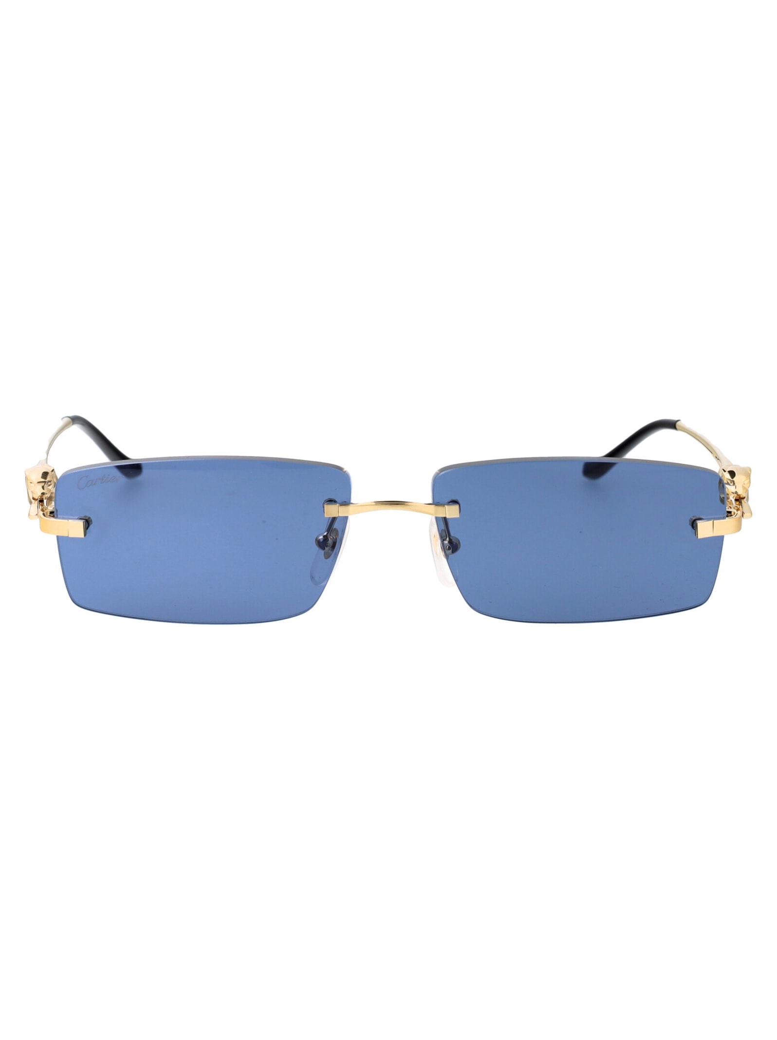 Ct0430s Sunglasses