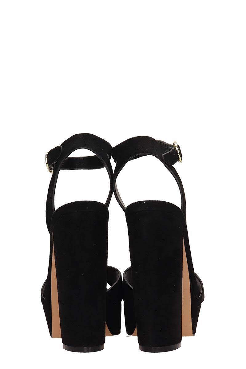 steve madden madeline black suede