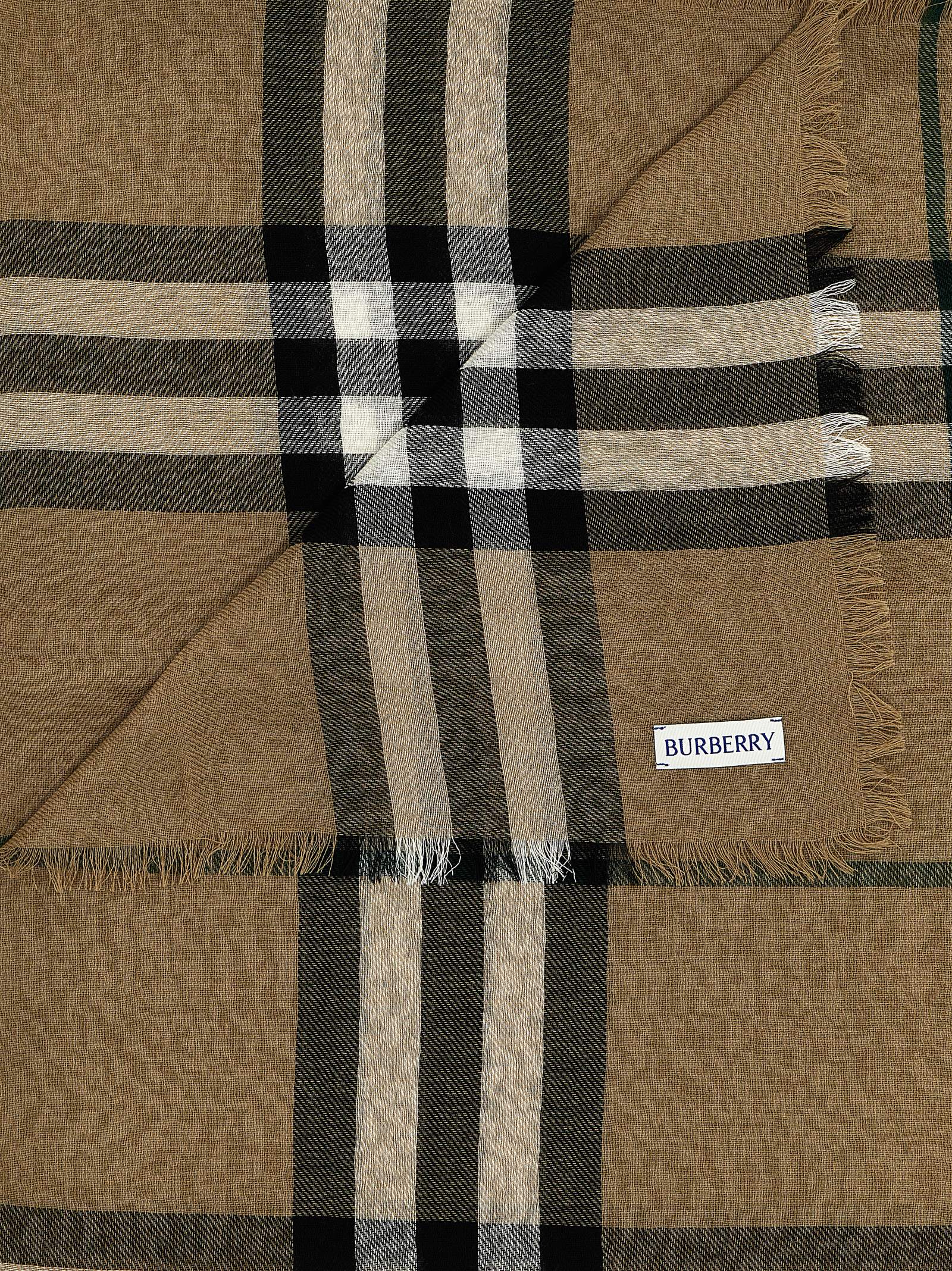 Shop Burberry Check Scarf In Multicolor