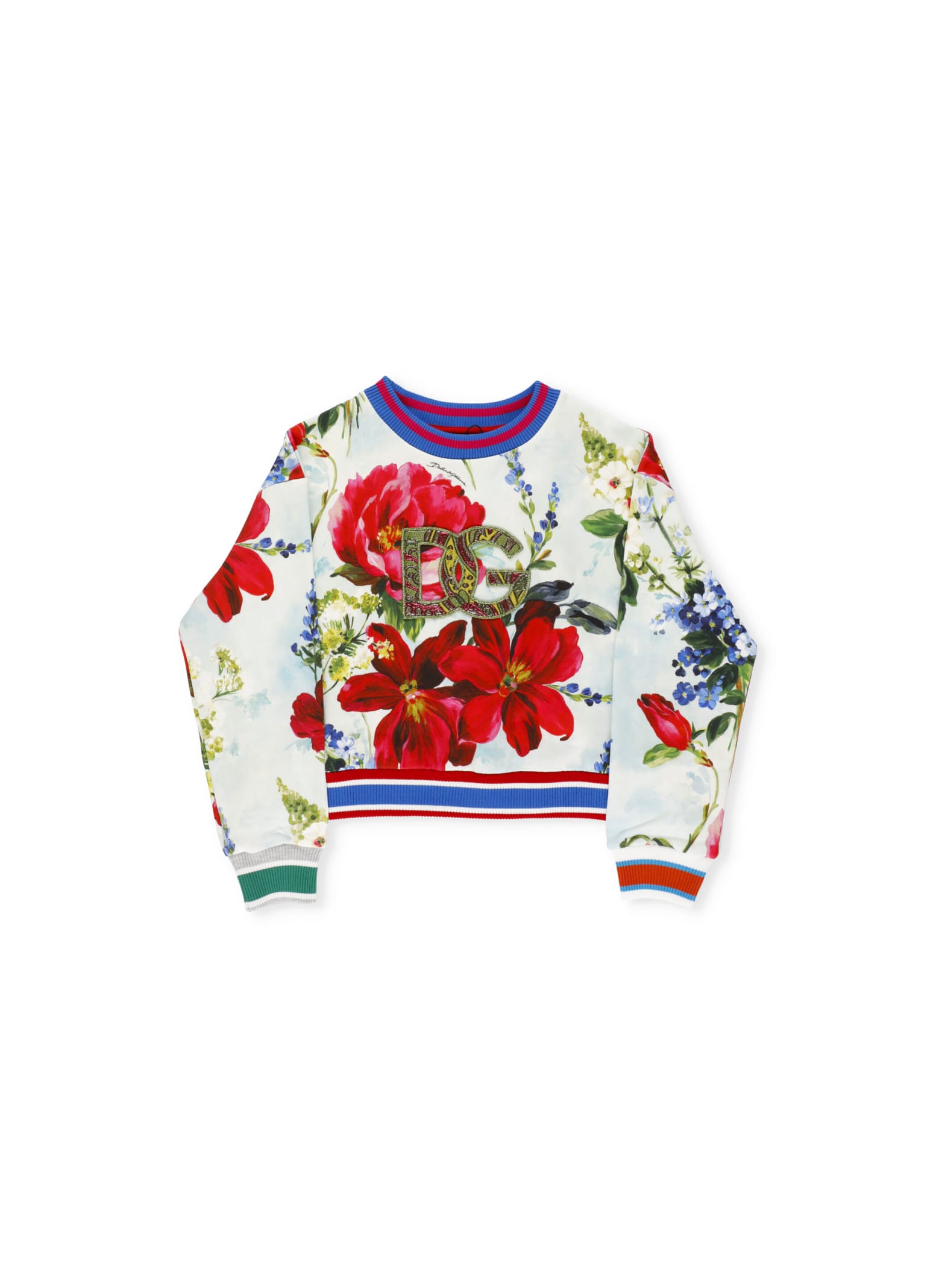 Dolce & Gabbana Garden Print Sweatshirt