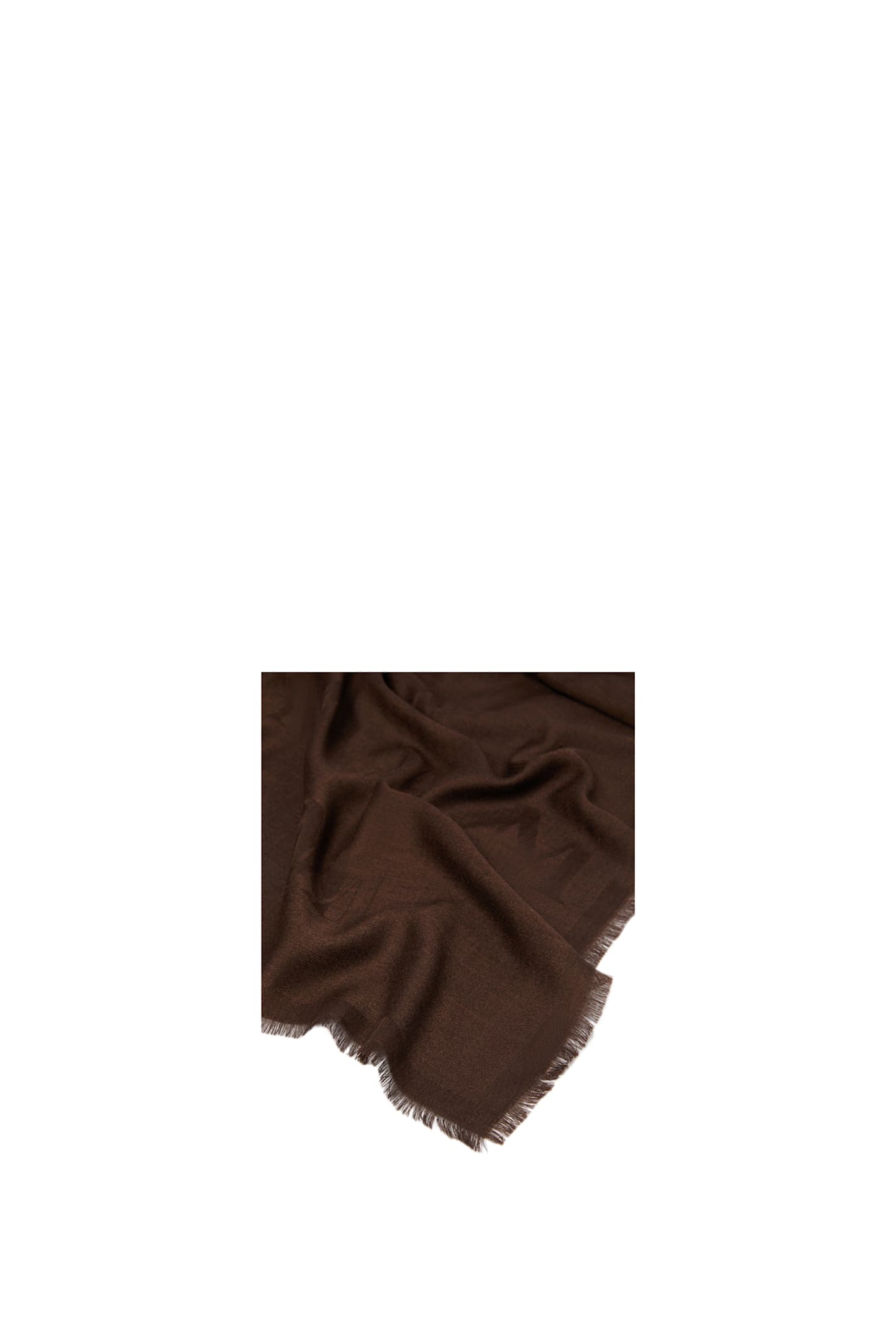 Max Mara Shawl Curvone In Brown