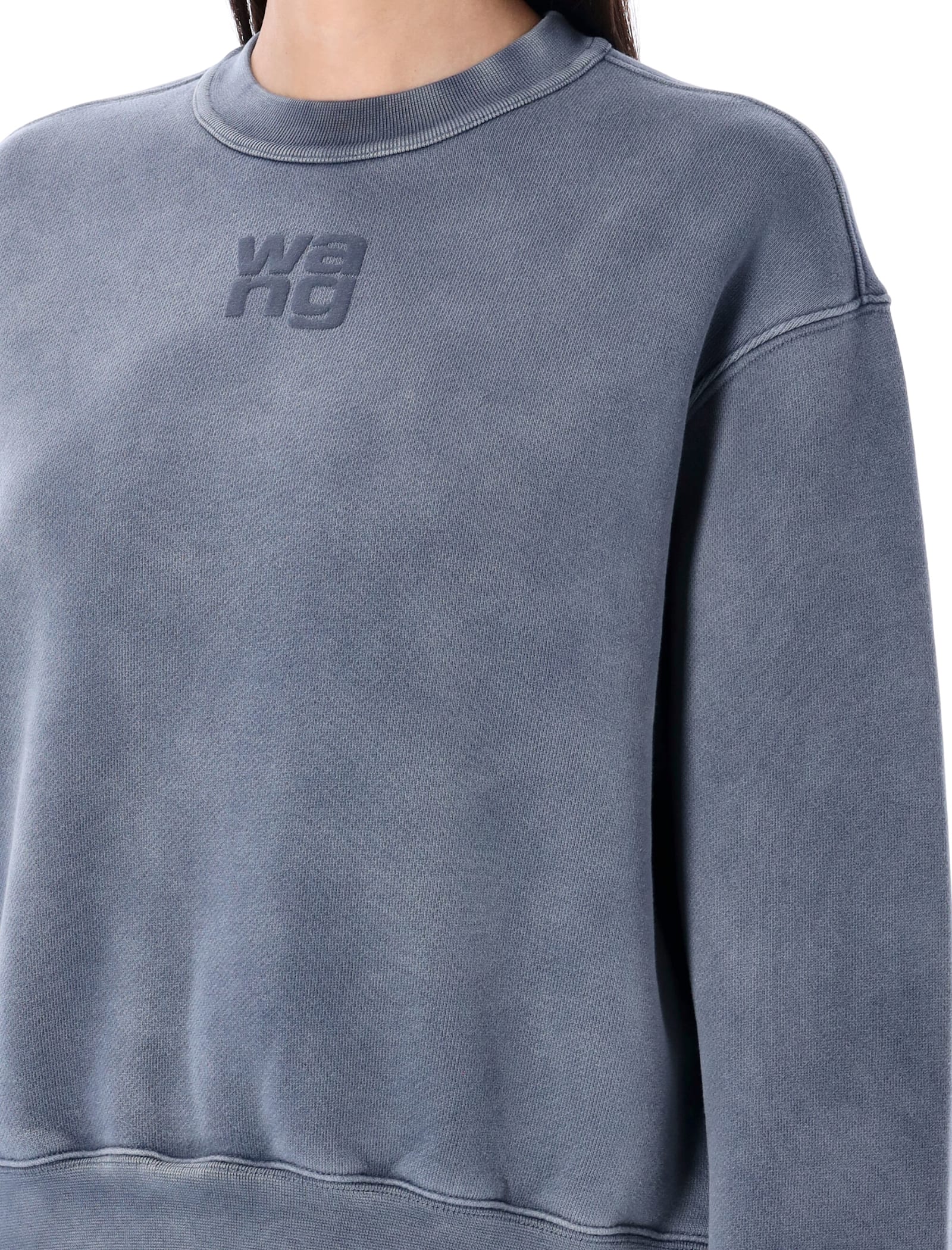 Alexander Wang T T By Alexander Wang Puff Logo Sweatshirt In Blue