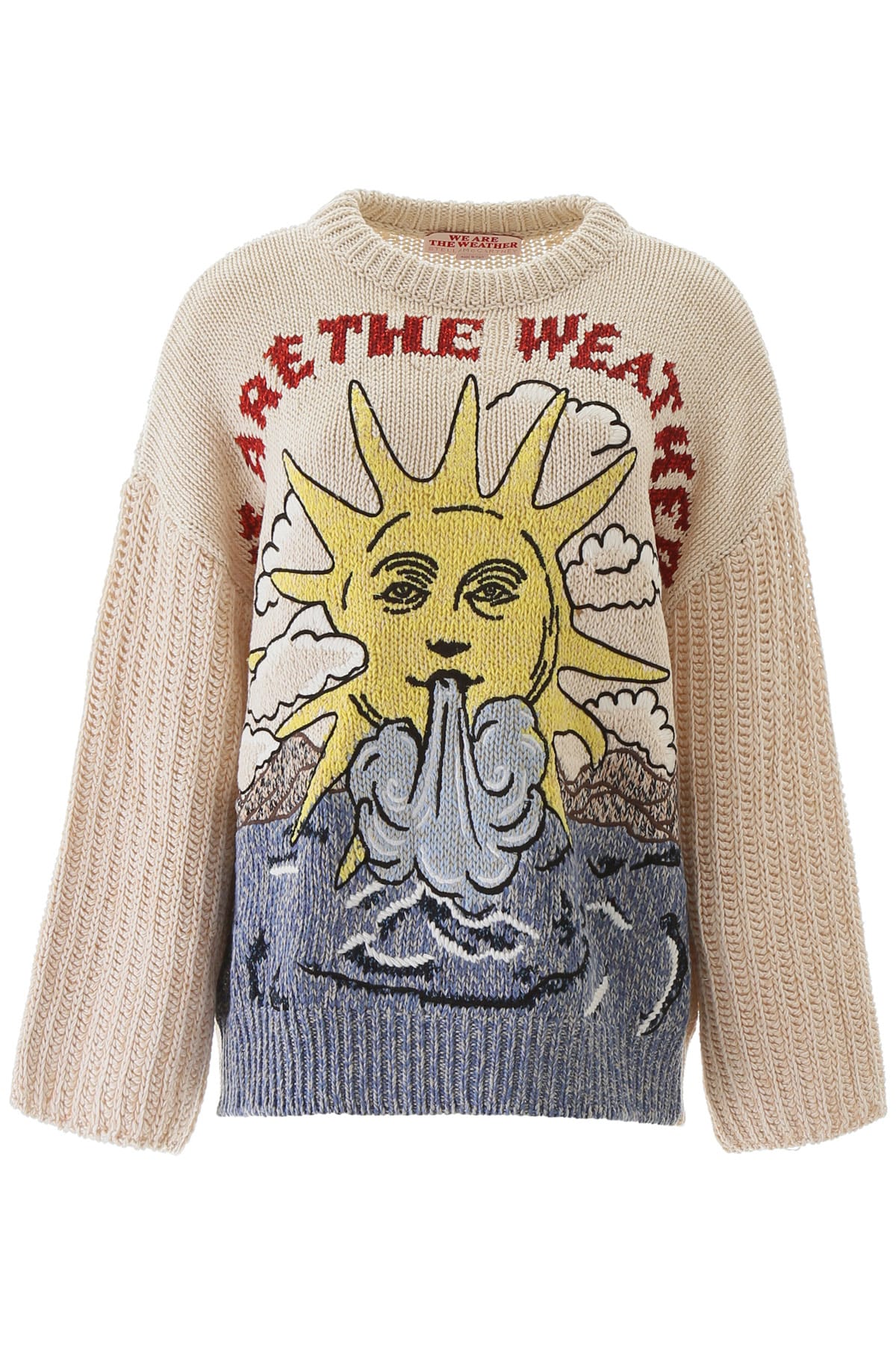 STELLA MCCARTNEY WE ARE THE WEATHER SWEATER,11275066
