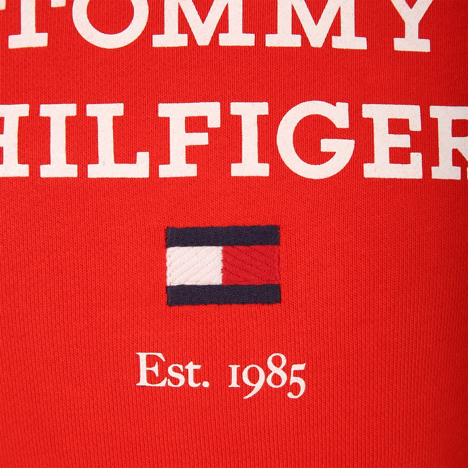 Shop Tommy Hilfiger Red Sweatshirt For Boy With Logo