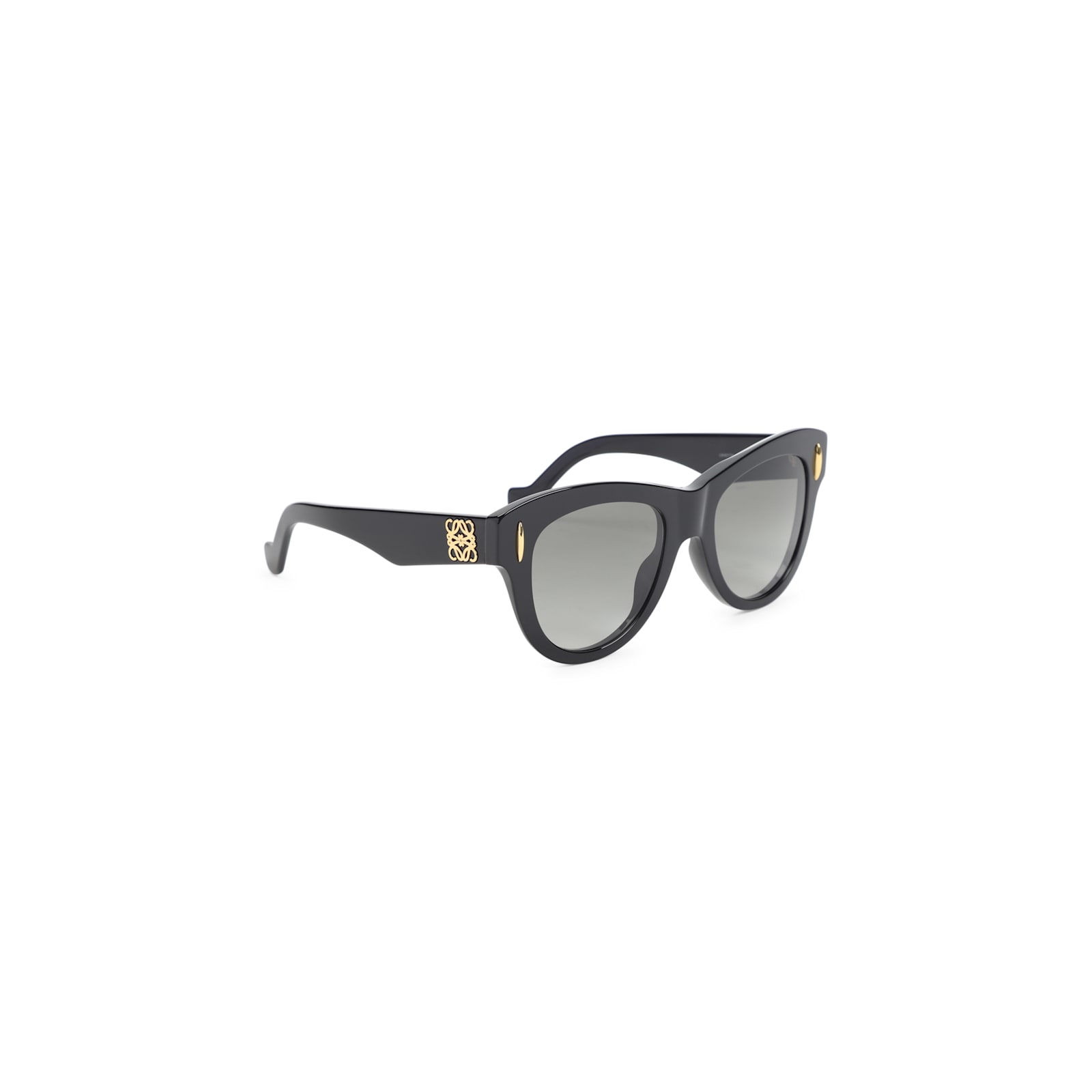 Loewe Vintage Screen Sunglasses In Black