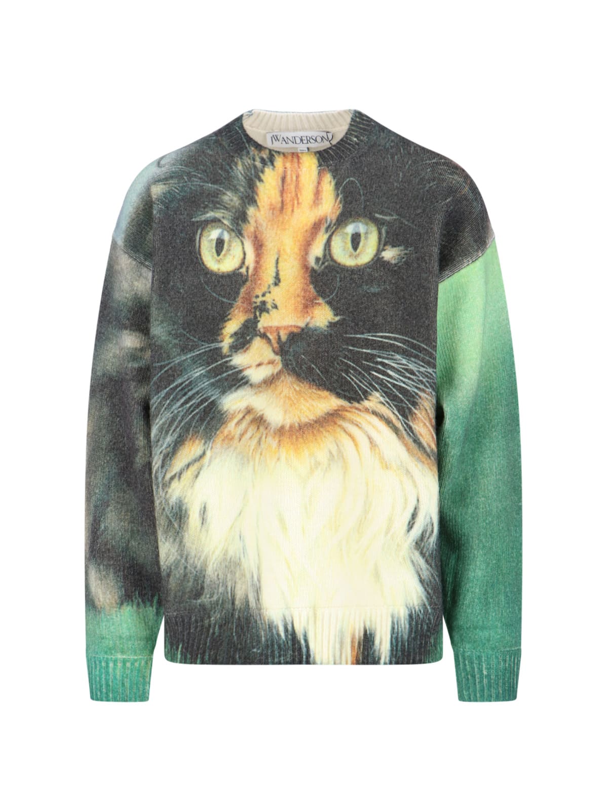 Shop Jw Anderson Cat Print Jumper In Green