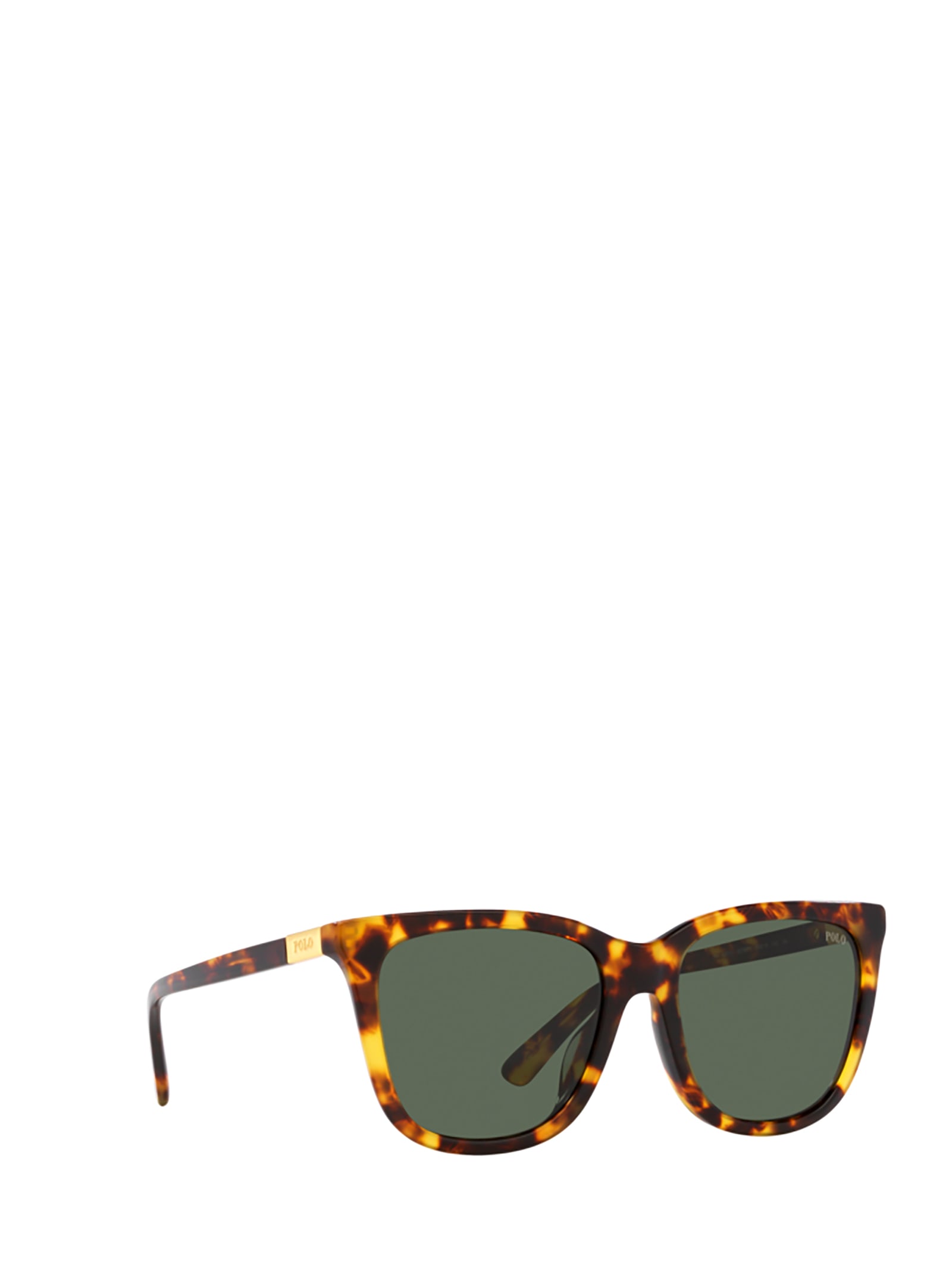 Shop Polo Ralph Lauren Ph4201u Shiny Havana Sunglasses