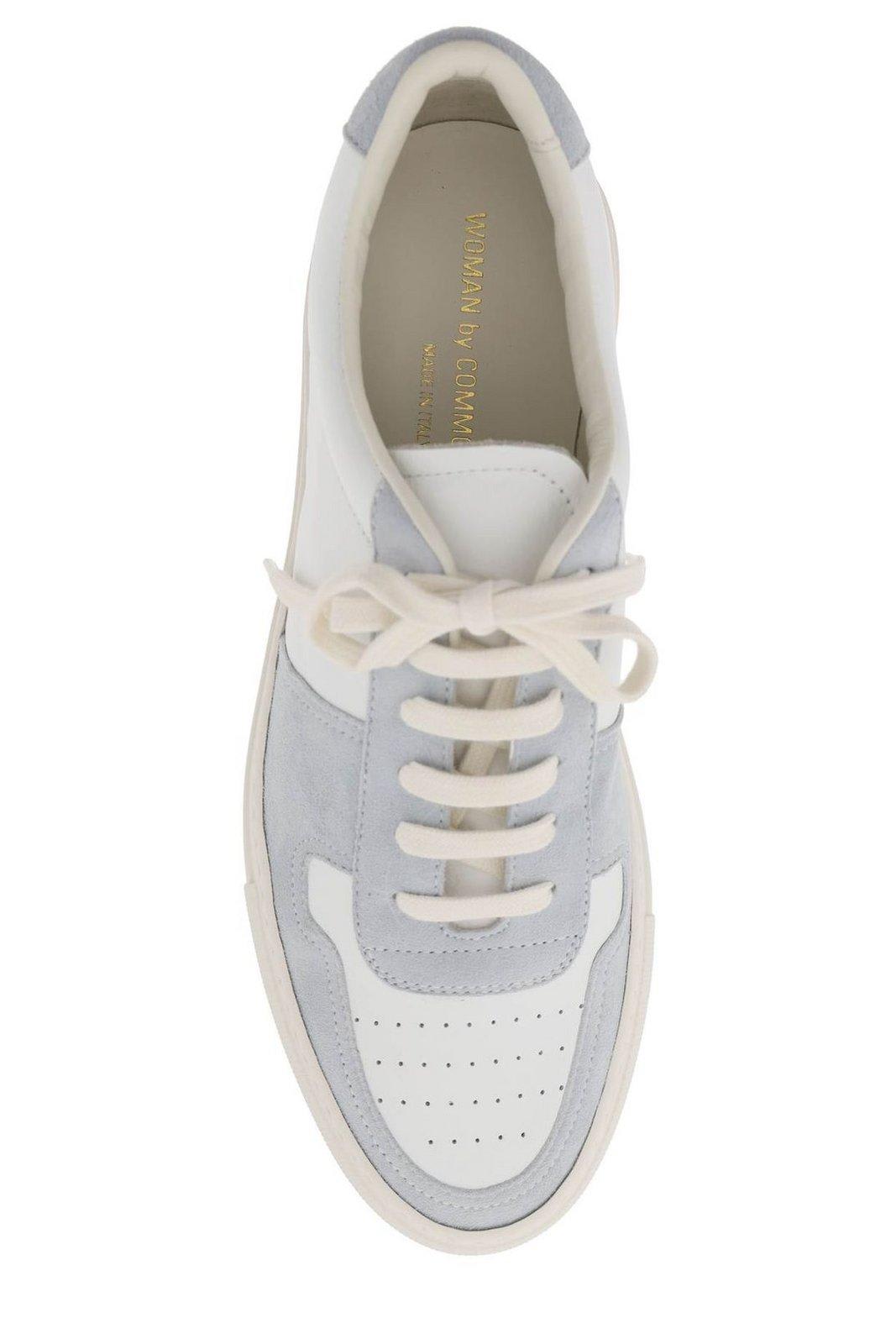 Shop Common Projects Bball Low-top Sneakers In Baby Blue (white)