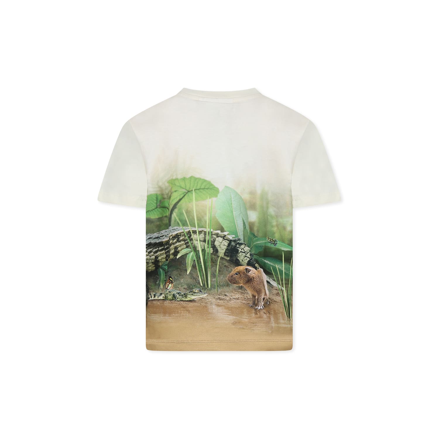 Molo Ivory T-shirt For Boy With Capybara In Ivory