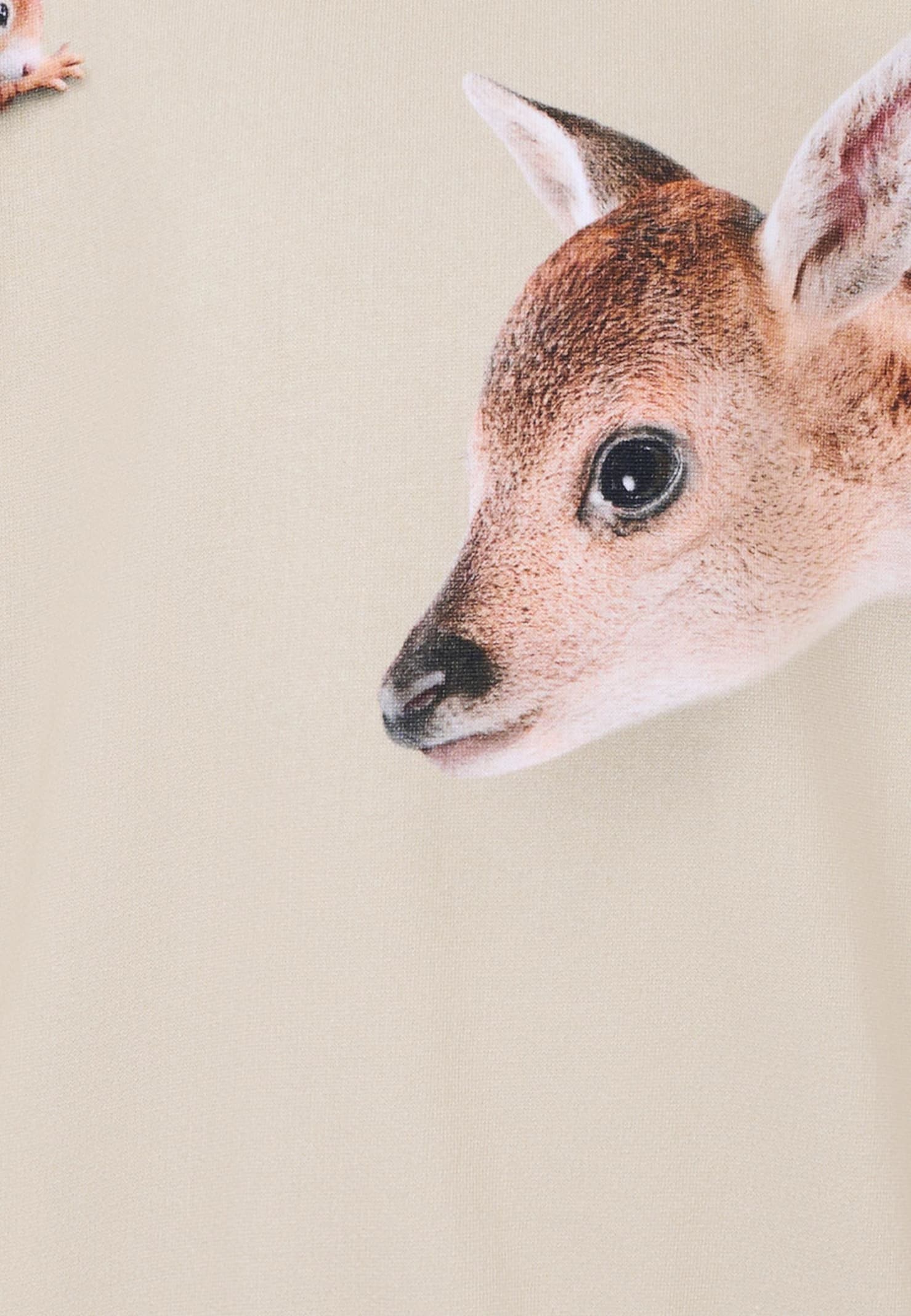 Molo Blue Sweatshirt For Boy With Flame In White