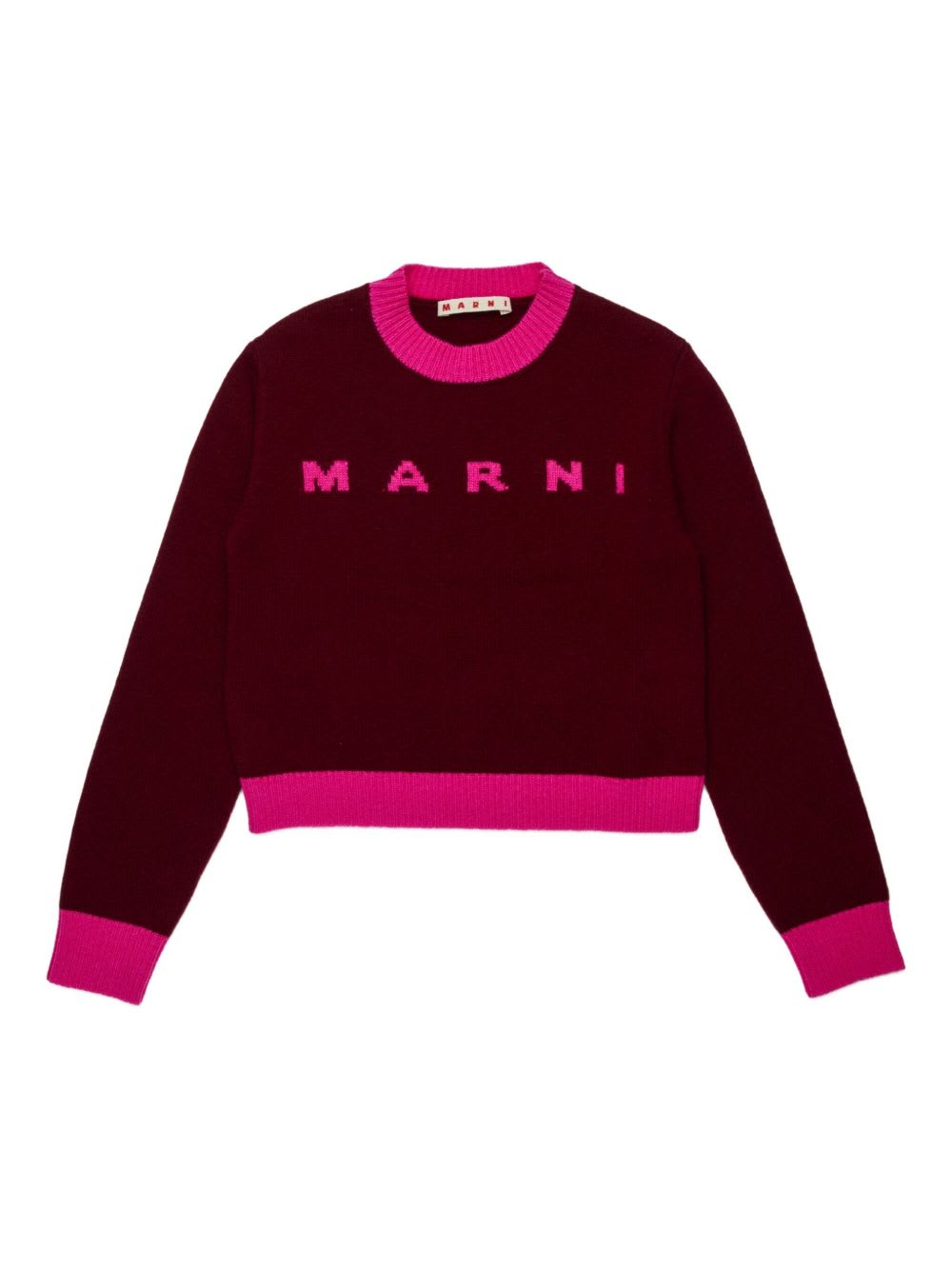 Marni L And Cashmere Sweater With Logo Kids In Brown