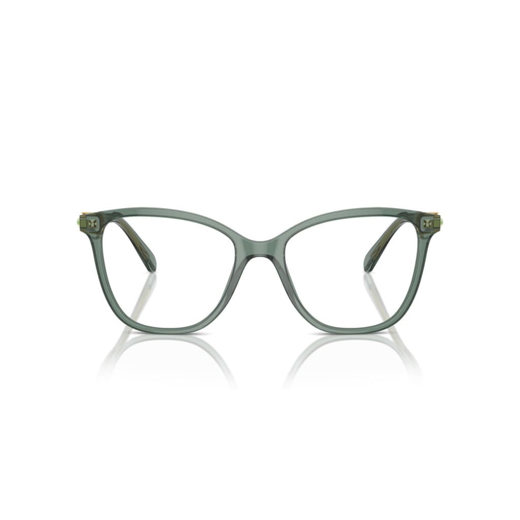 Swarovski Sk2020 1043 Glasses In Gray