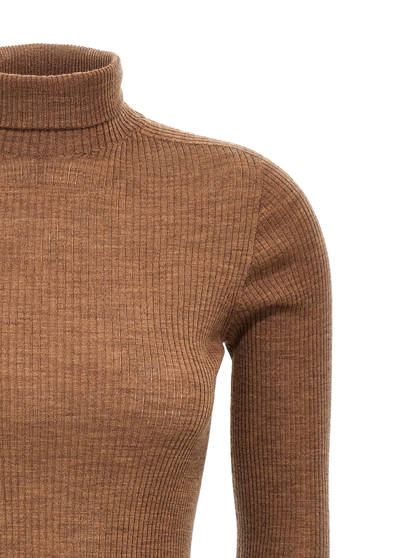 Shop Sportmax Flavia Sweater In Brown