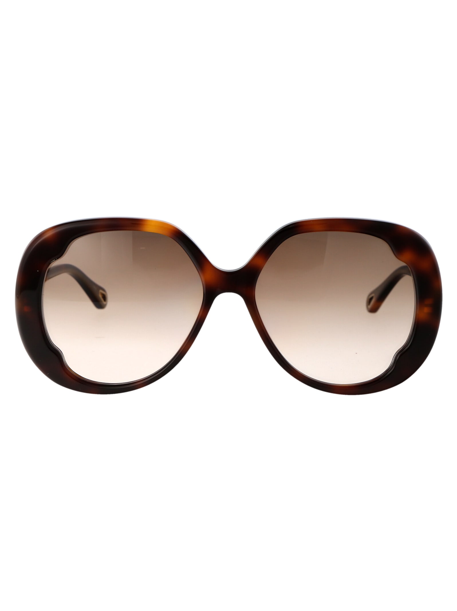 Shop Chloé Ch0195s Sunglasses In 002 Havana Havana Brown