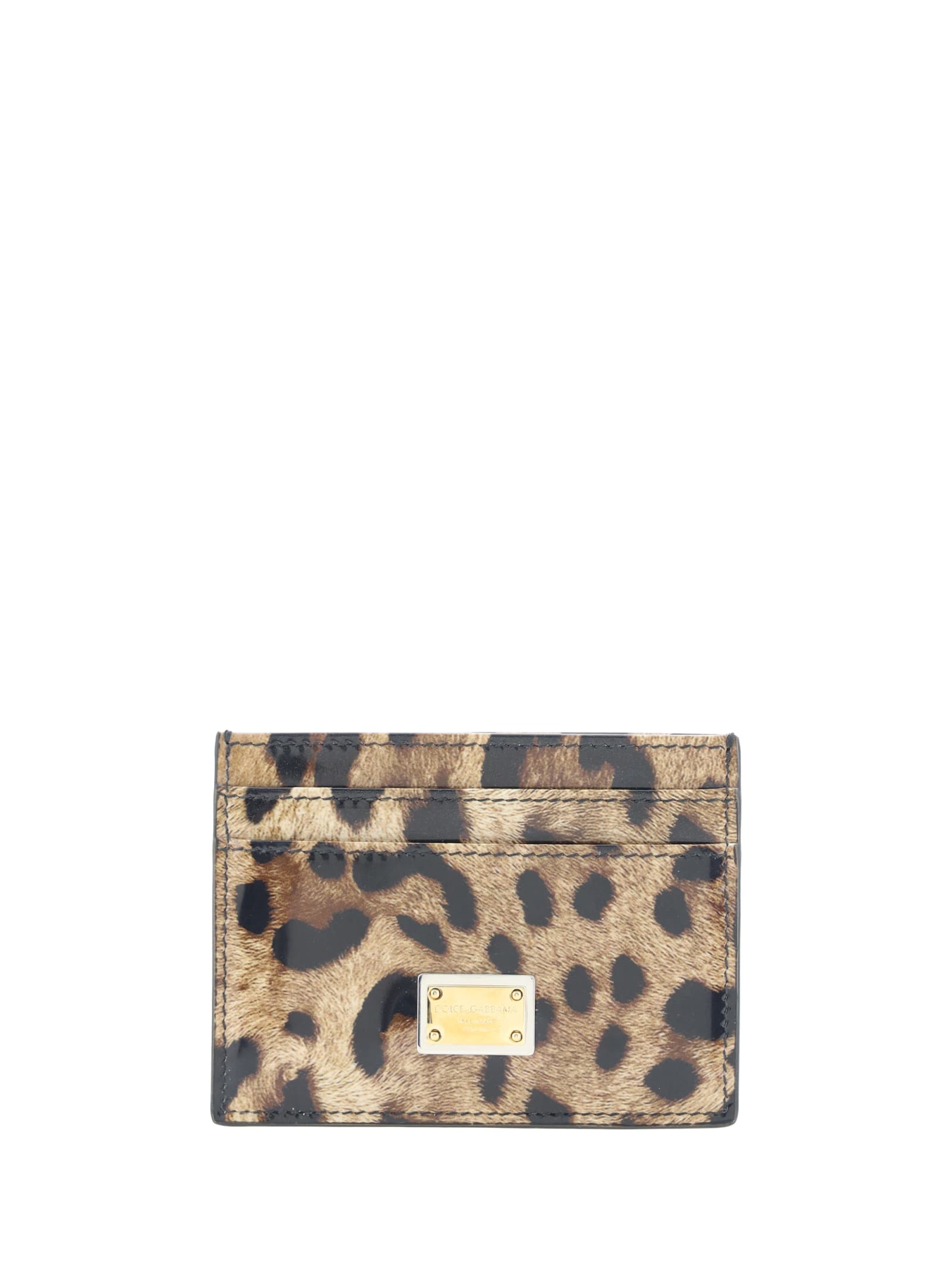 Shop Dolce & Gabbana Card Holder In Leo