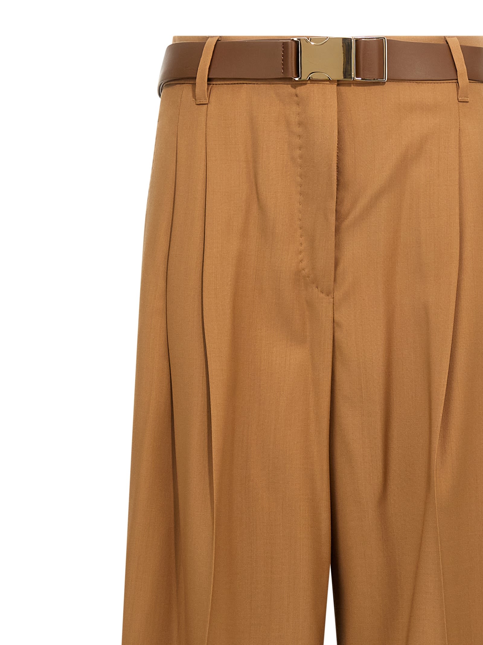 Max Mara Bergamo Pants In Brown