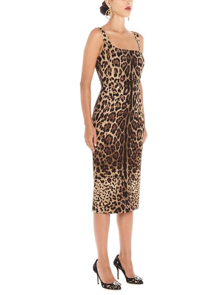 Shop Dolce & Gabbana Leopard Print Fitted Midi Dress In Brown