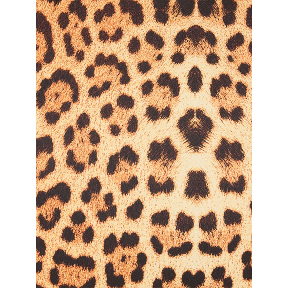 Roberto Cavalli Dresses Brown In Gold